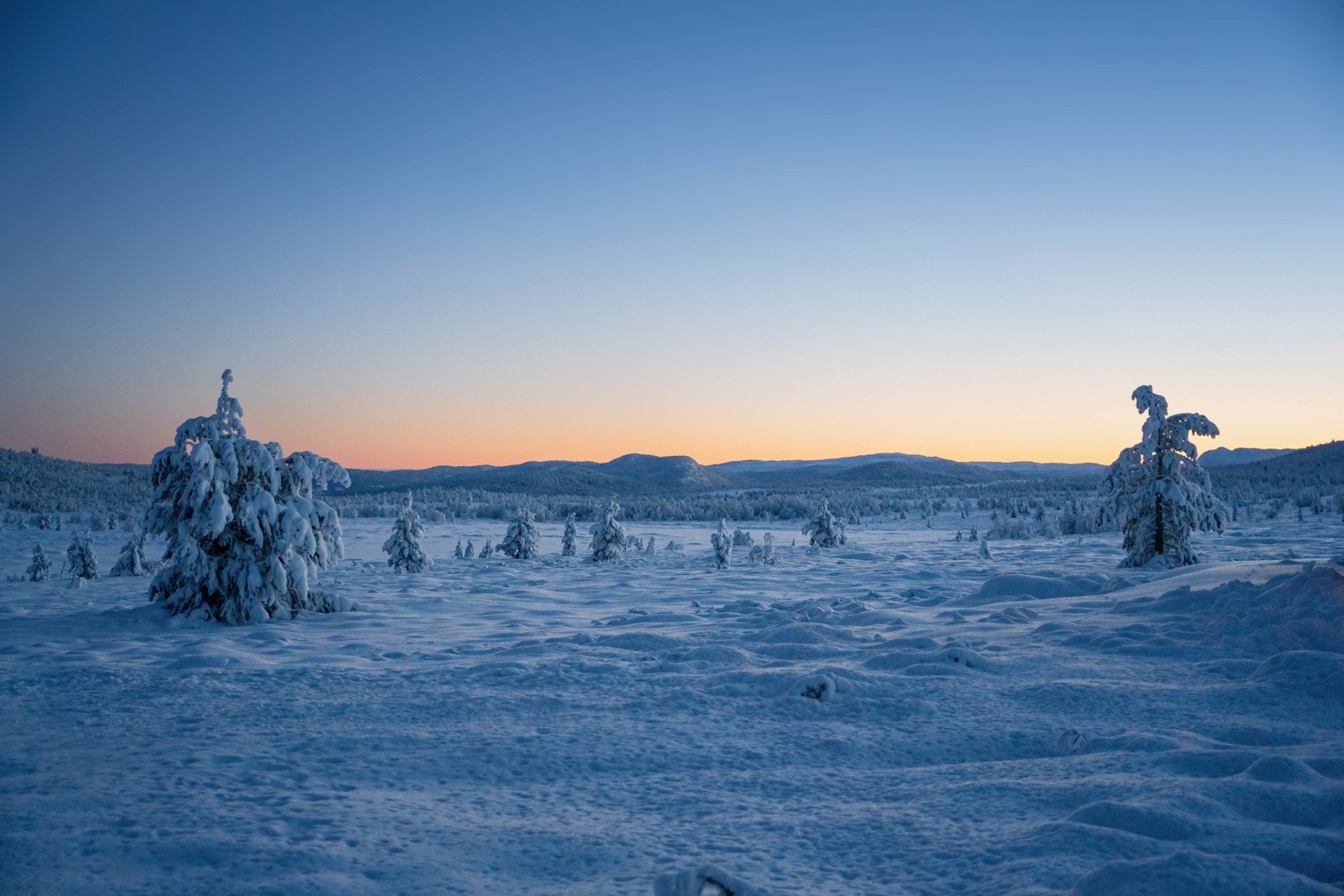 Nærområde Galleribilde