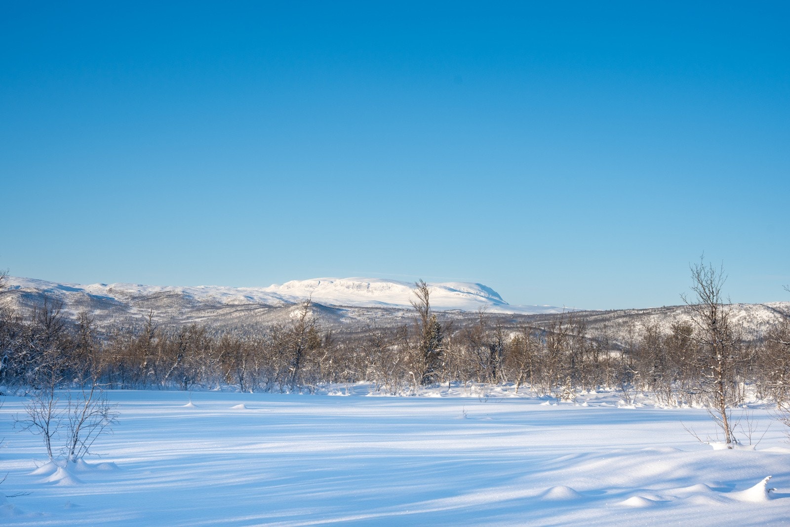 Området foran tomten er i dag regulert til LNF Galleribilde