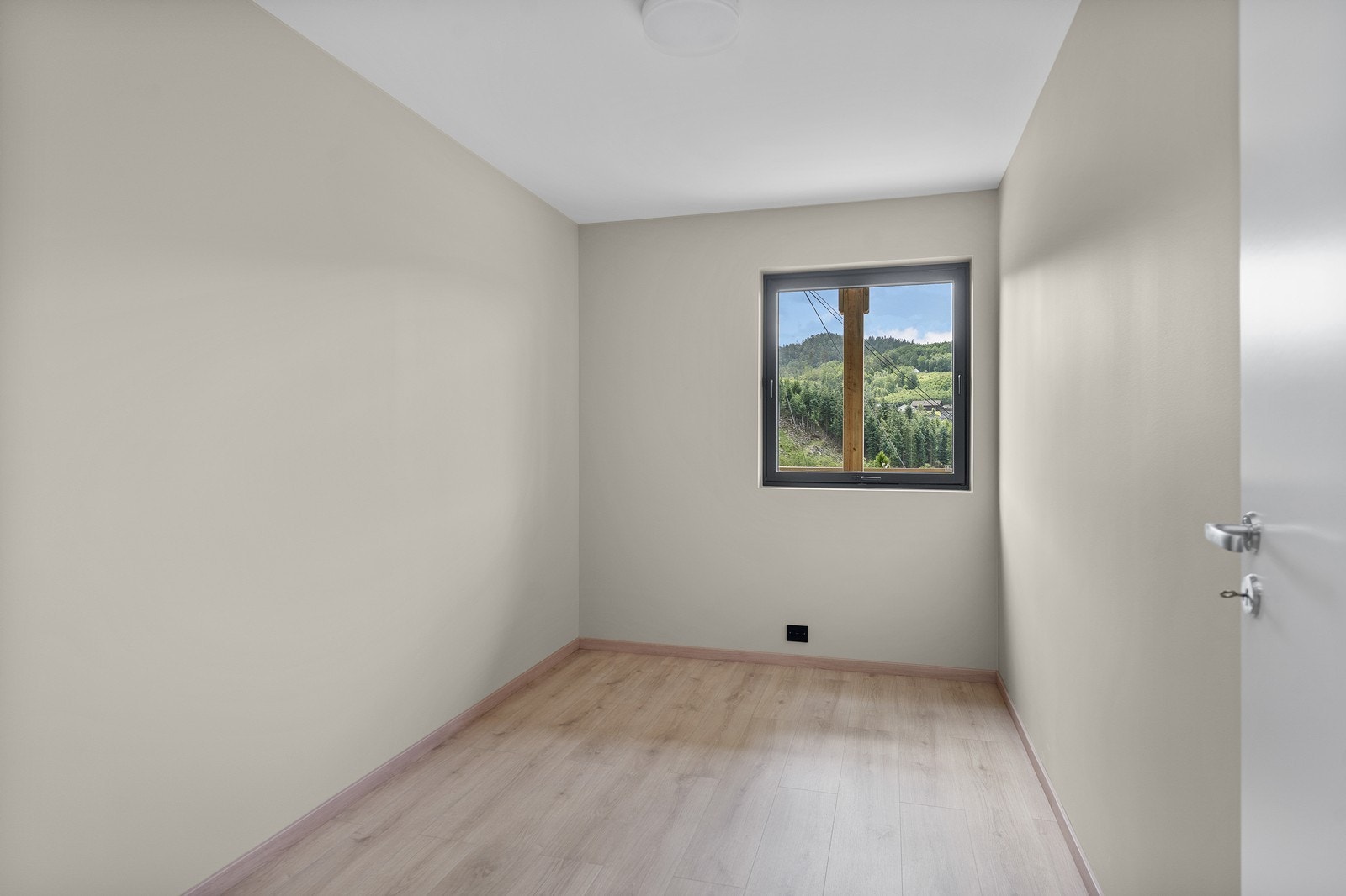 DSC07679 Galleribilde