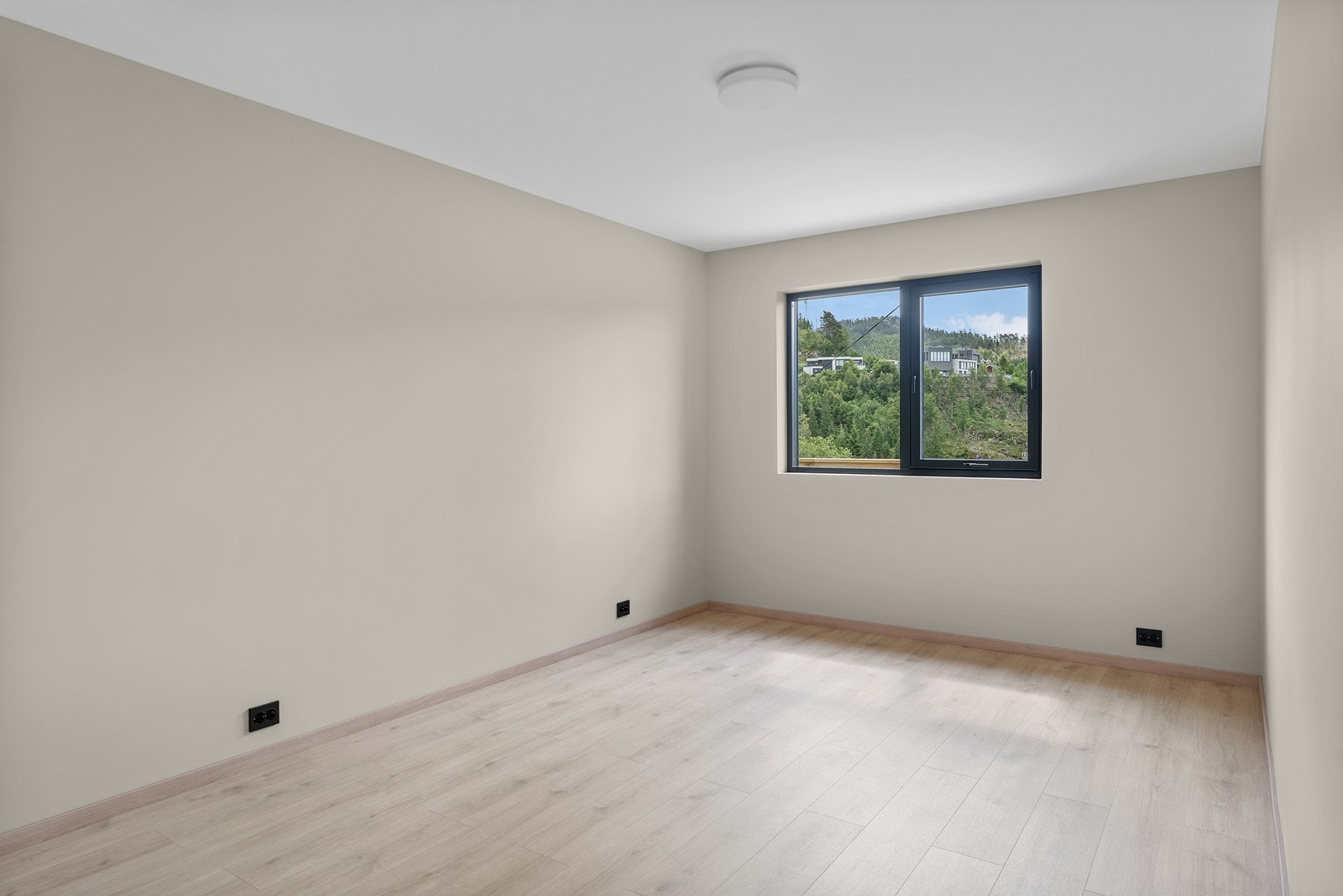 DSC07687 Galleribilde