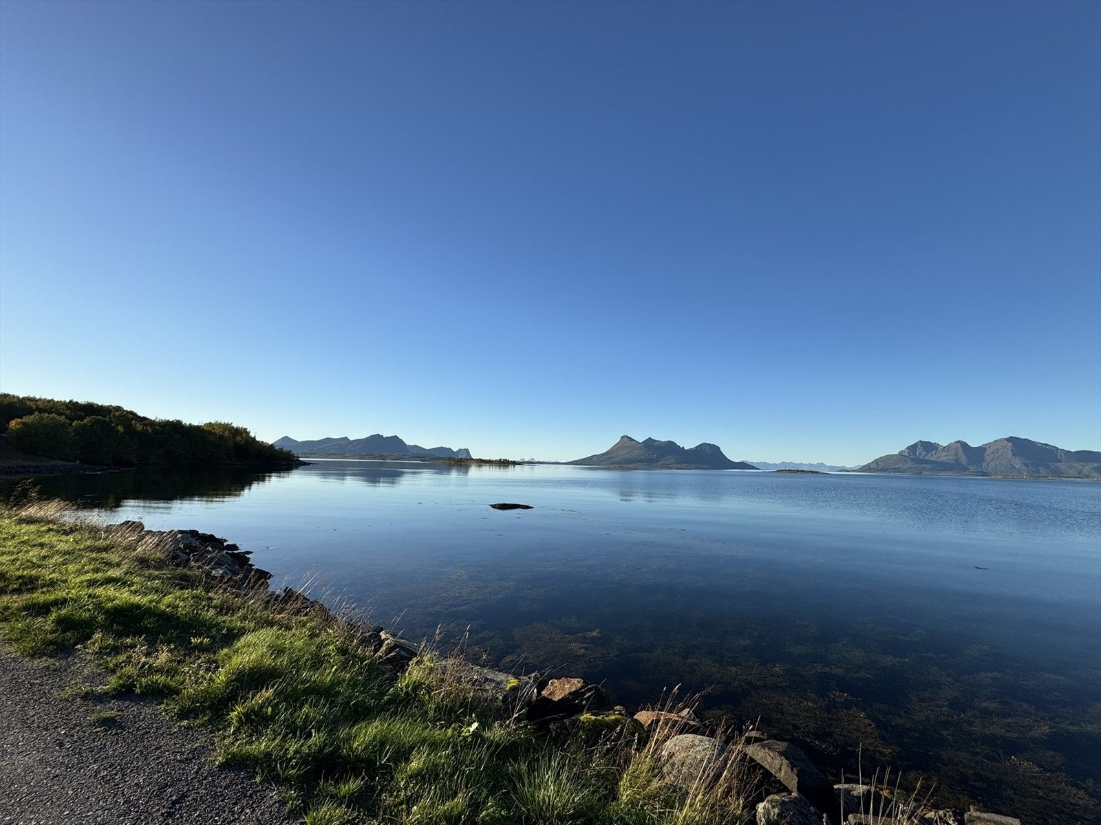Ta en pause og nyt naturen Galleribilde
