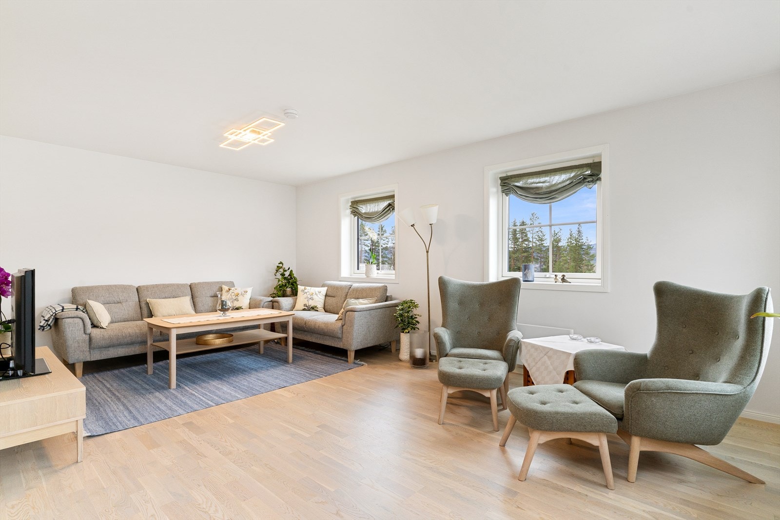 Her har du plass til to soner og ulik møblering. Galleribilde