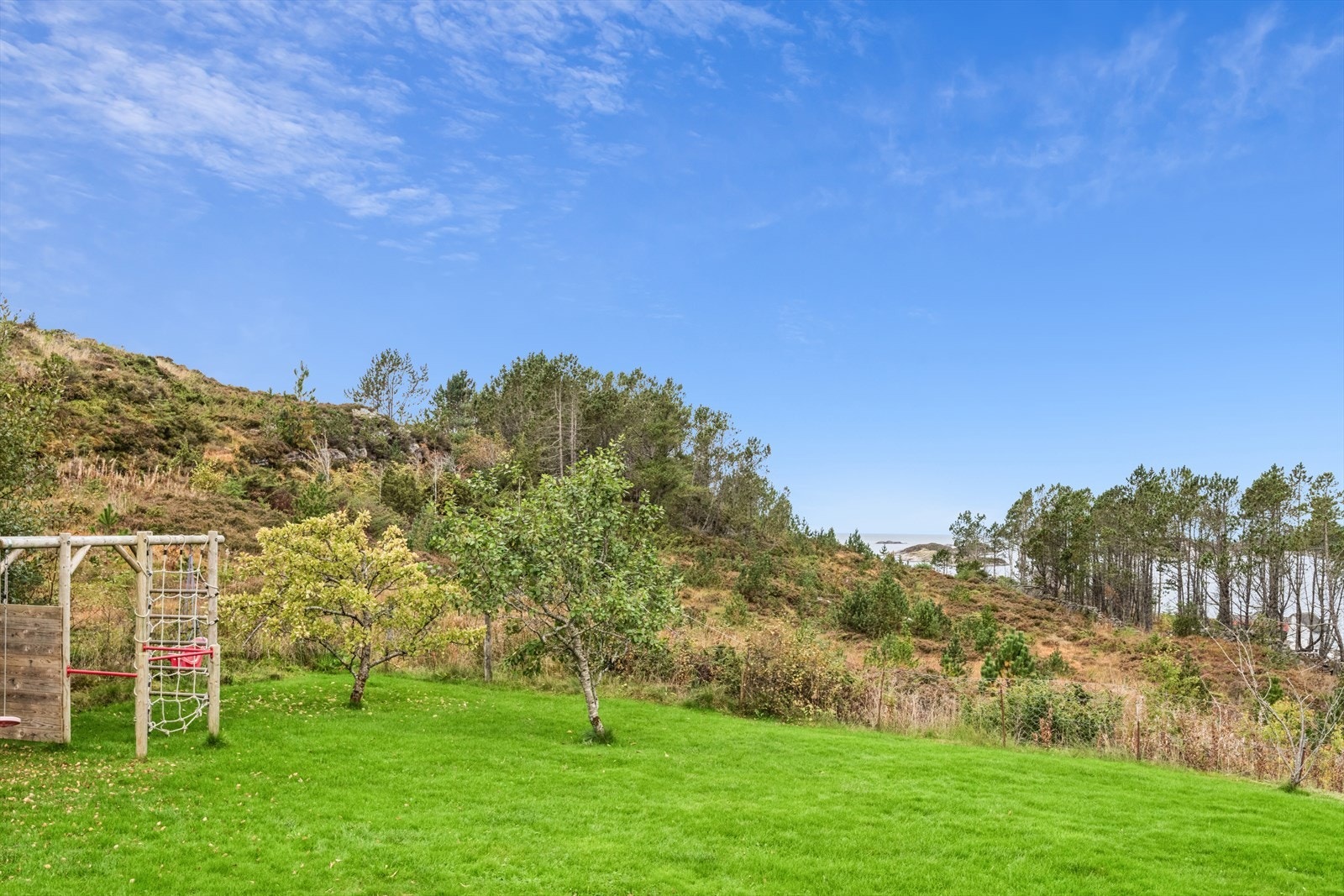 Koselig hage for små barneføtter som kan springe rundt Galleribilde