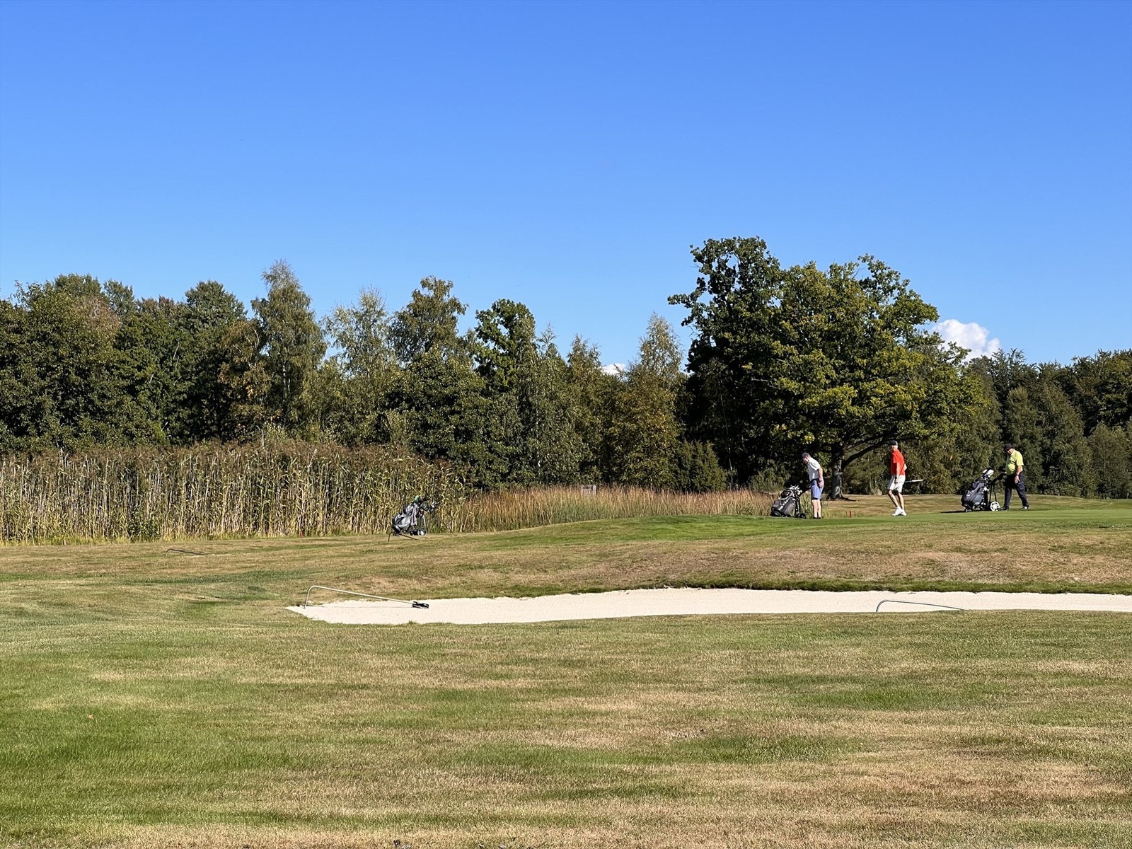 Golfbanen rett i nærheten Galleribilde