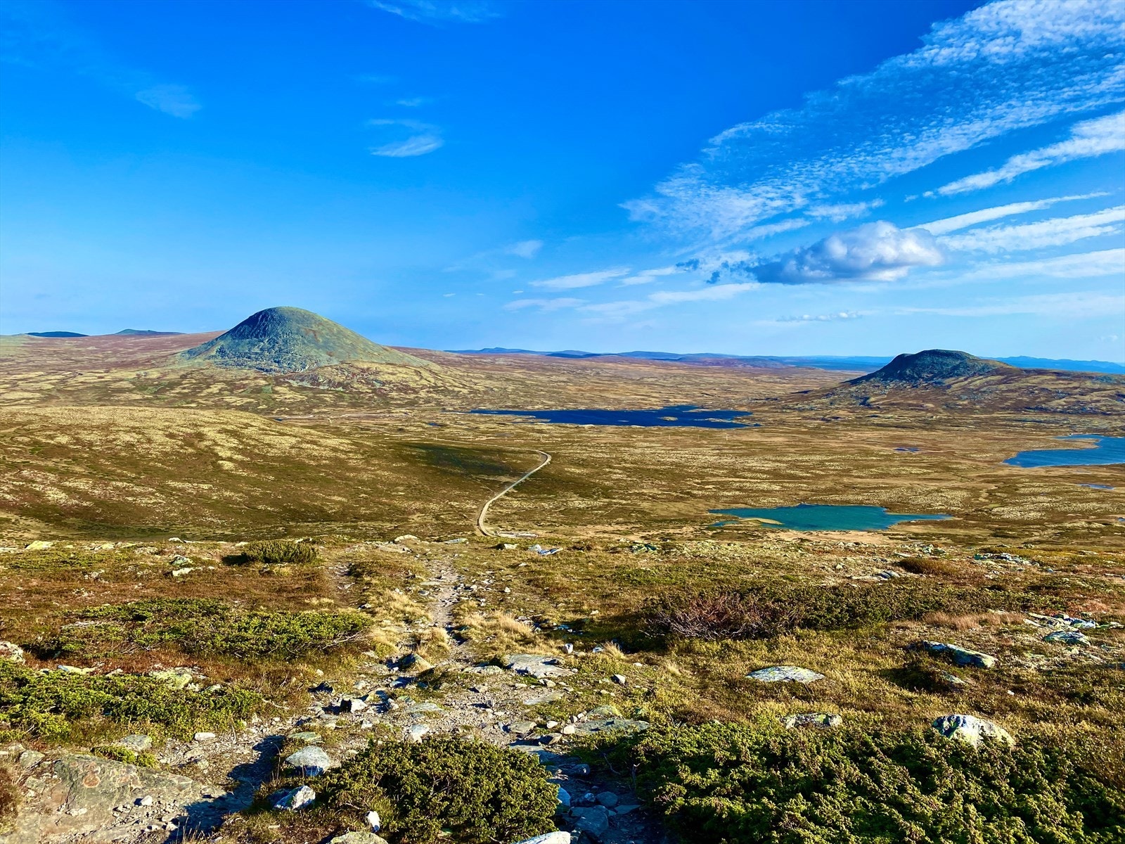 Områdebilde fra Venabygdsfjellet. Galleribilde