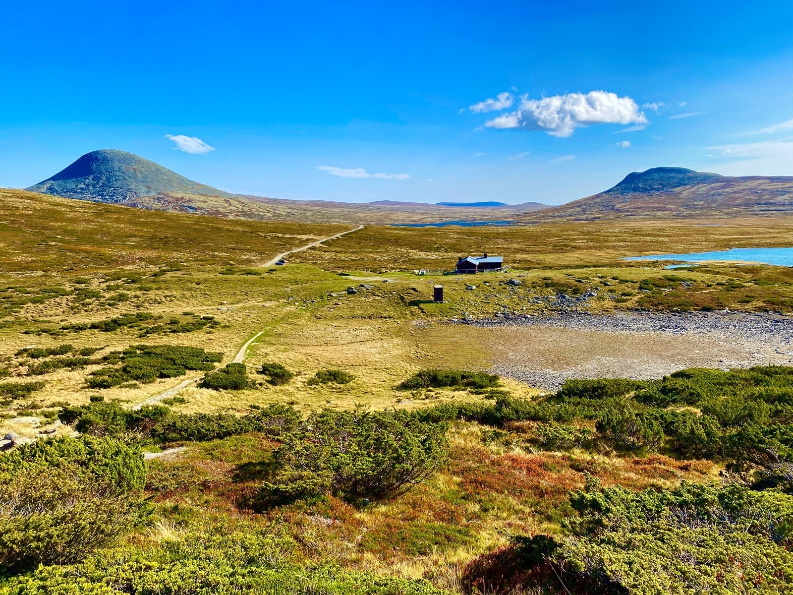 Områdebilde fra Venabygdsfjellet. Galleribilde