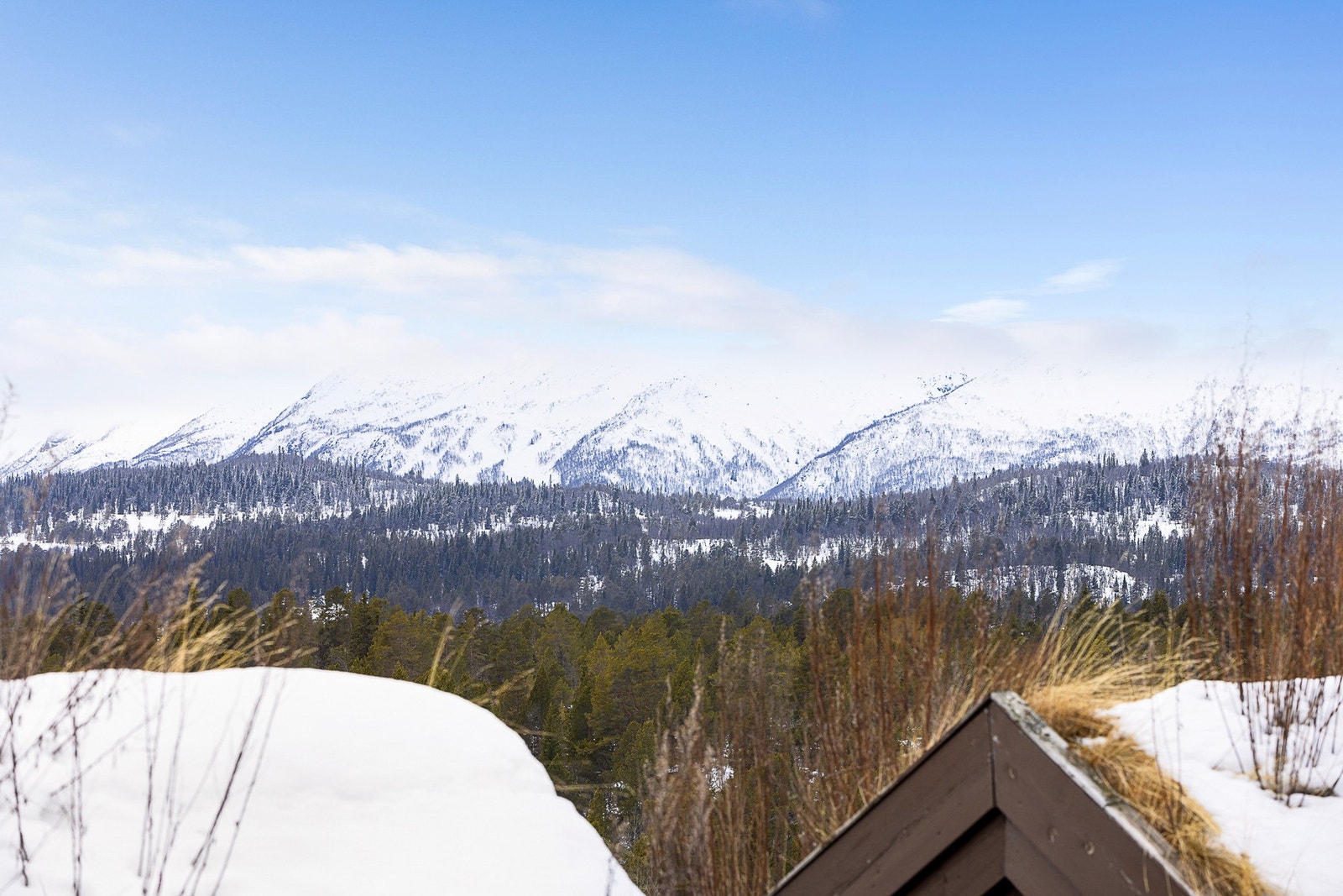 Nydelig utsikt over Raulandsfjell Galleribilde