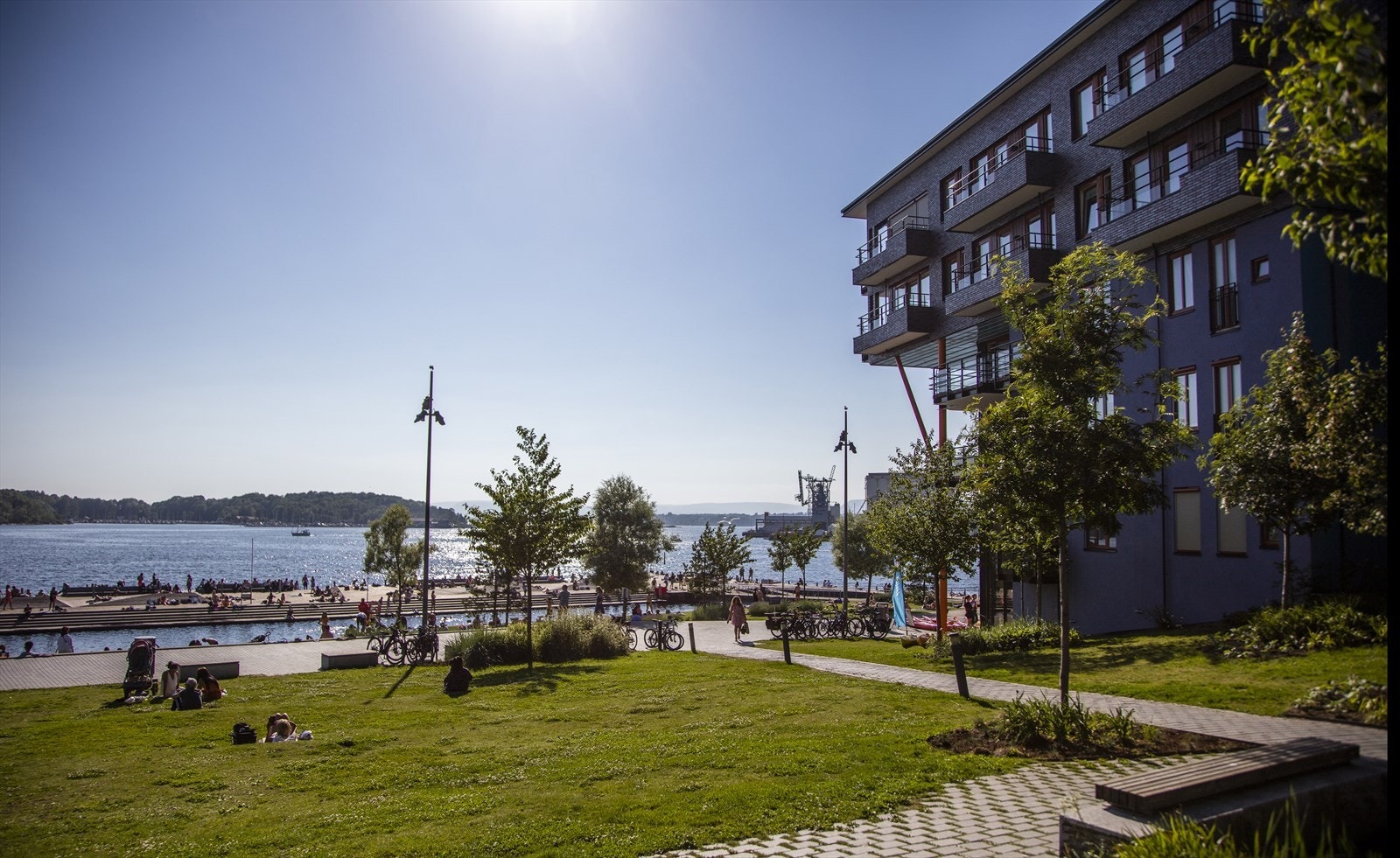 Nærområdet - Sørenga. Galleribilde