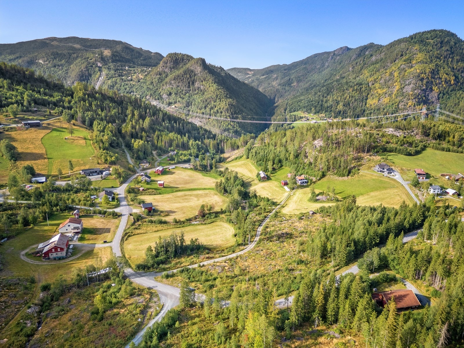 Velkommen til visning! Galleribilde