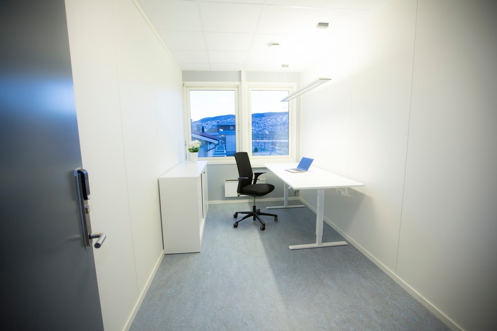 Cellekontor Galleribilde