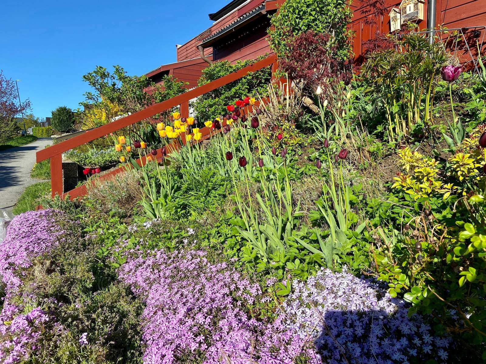 Bleikeråsen - et hav av blomster sommerstid og hyggelig julestemning vinterstid Galleribilde