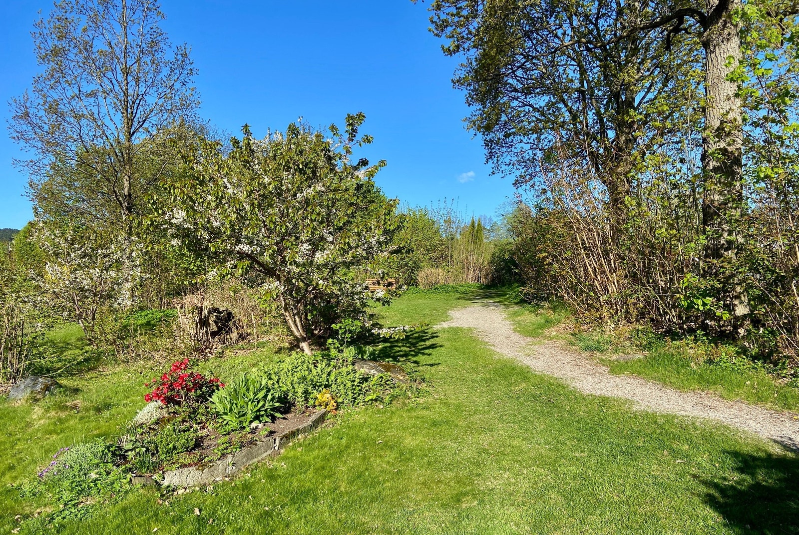 Mange idylliske turstier - gangavstand til Kiwi og Rema, og apotek/kafe/restauranter og Asker sentrum Galleribilde