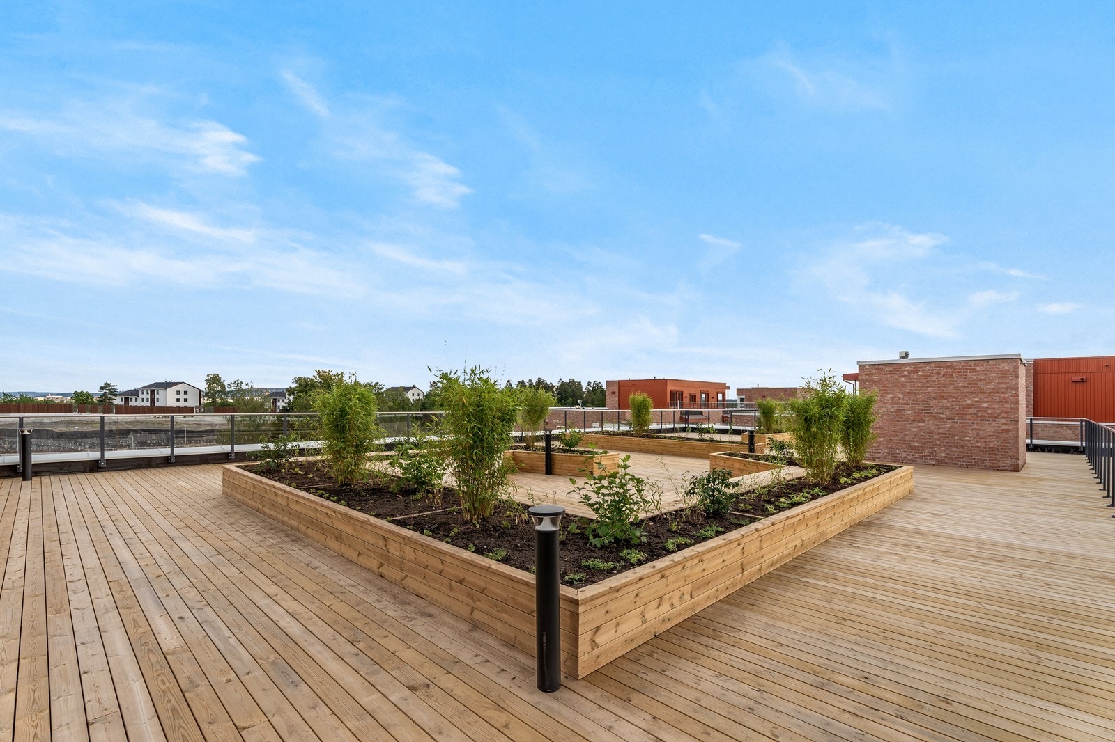 Felles takterrasse Galleribilde