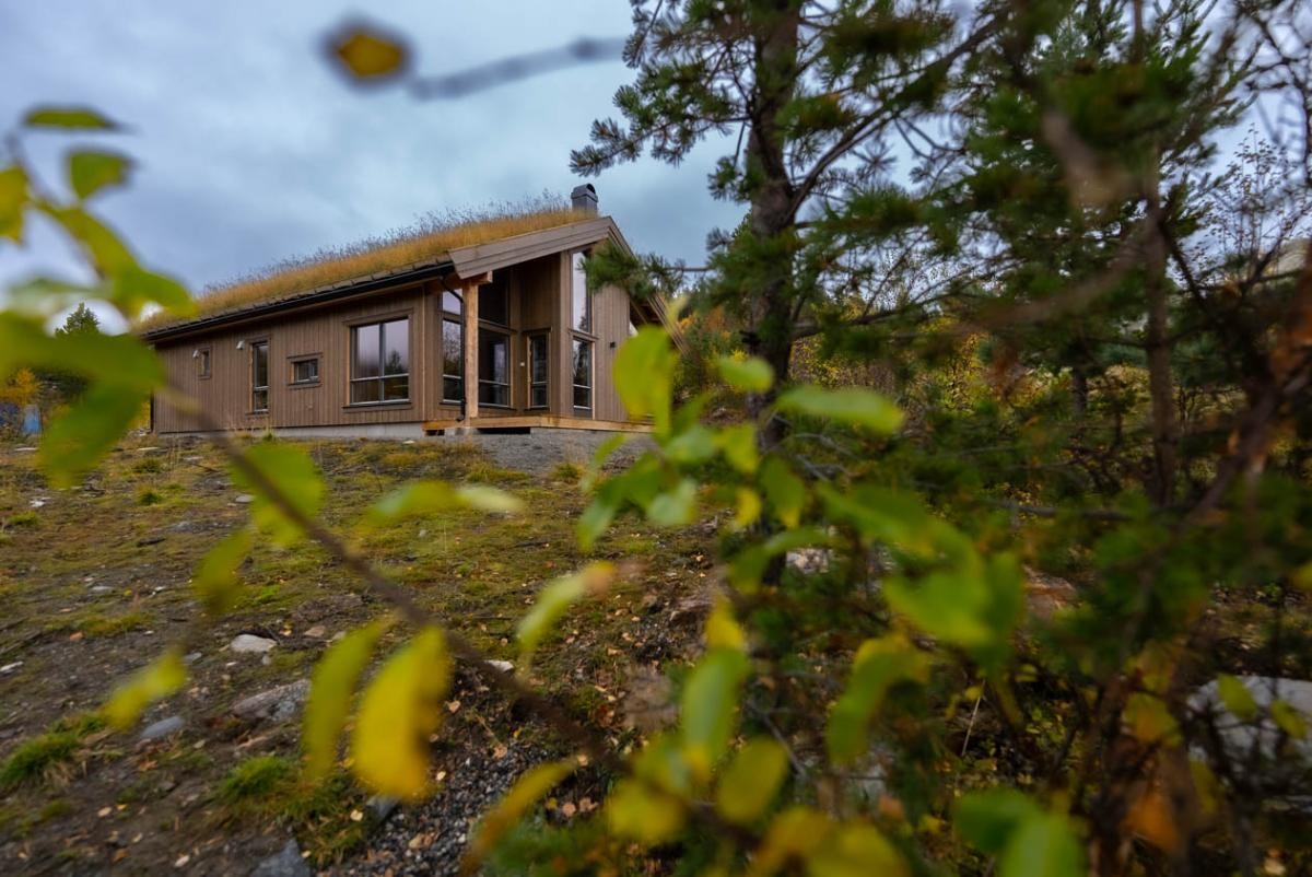 tilsvarende hytte. Galleribilde