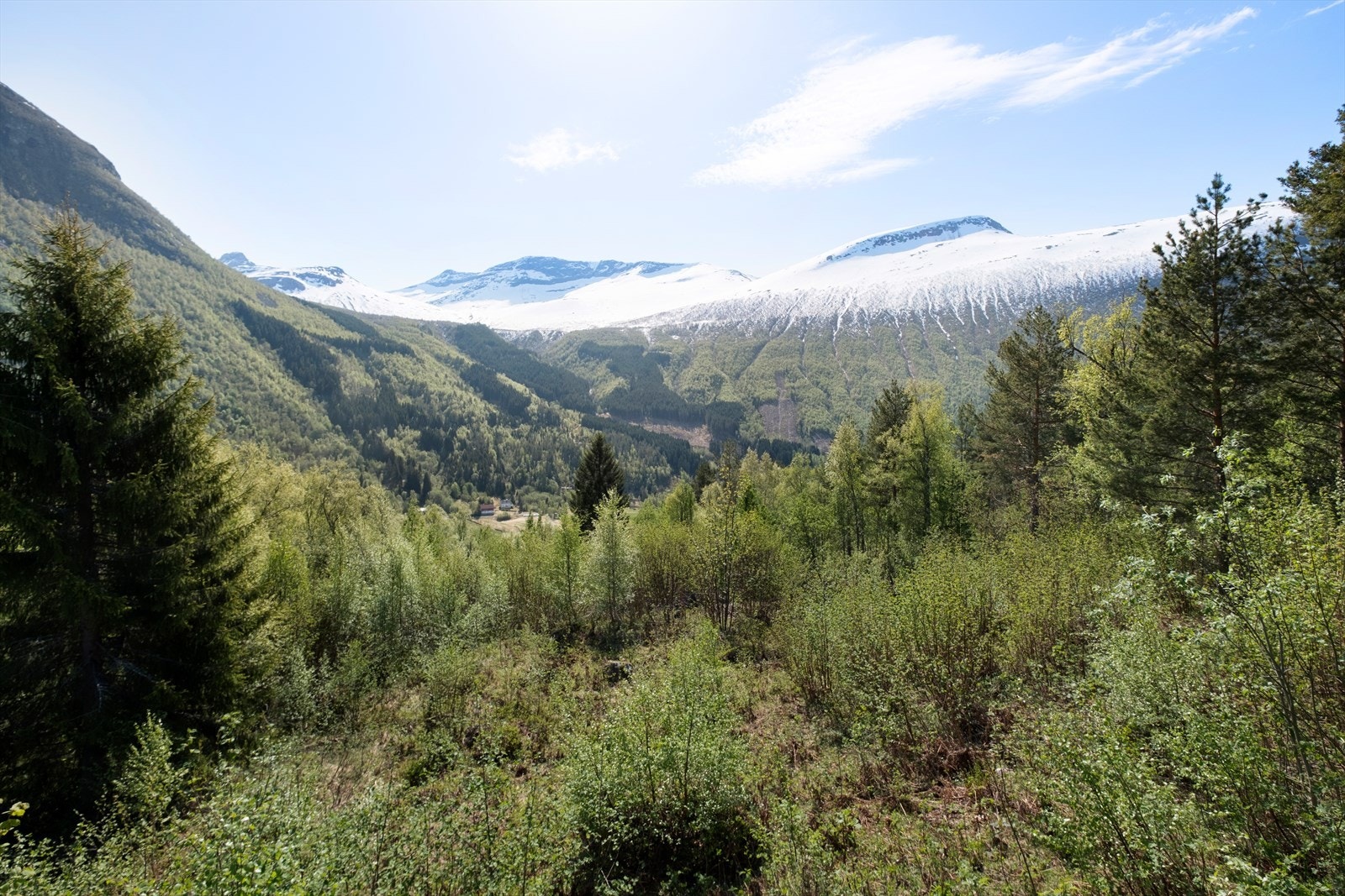 Utsikten Galleribilde