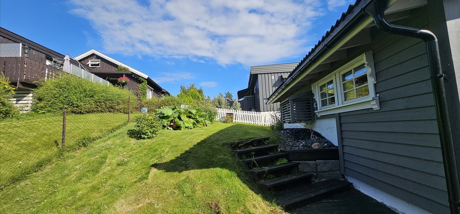 Det er blant annet bærbusker på baksiden av boligen Galleribilde