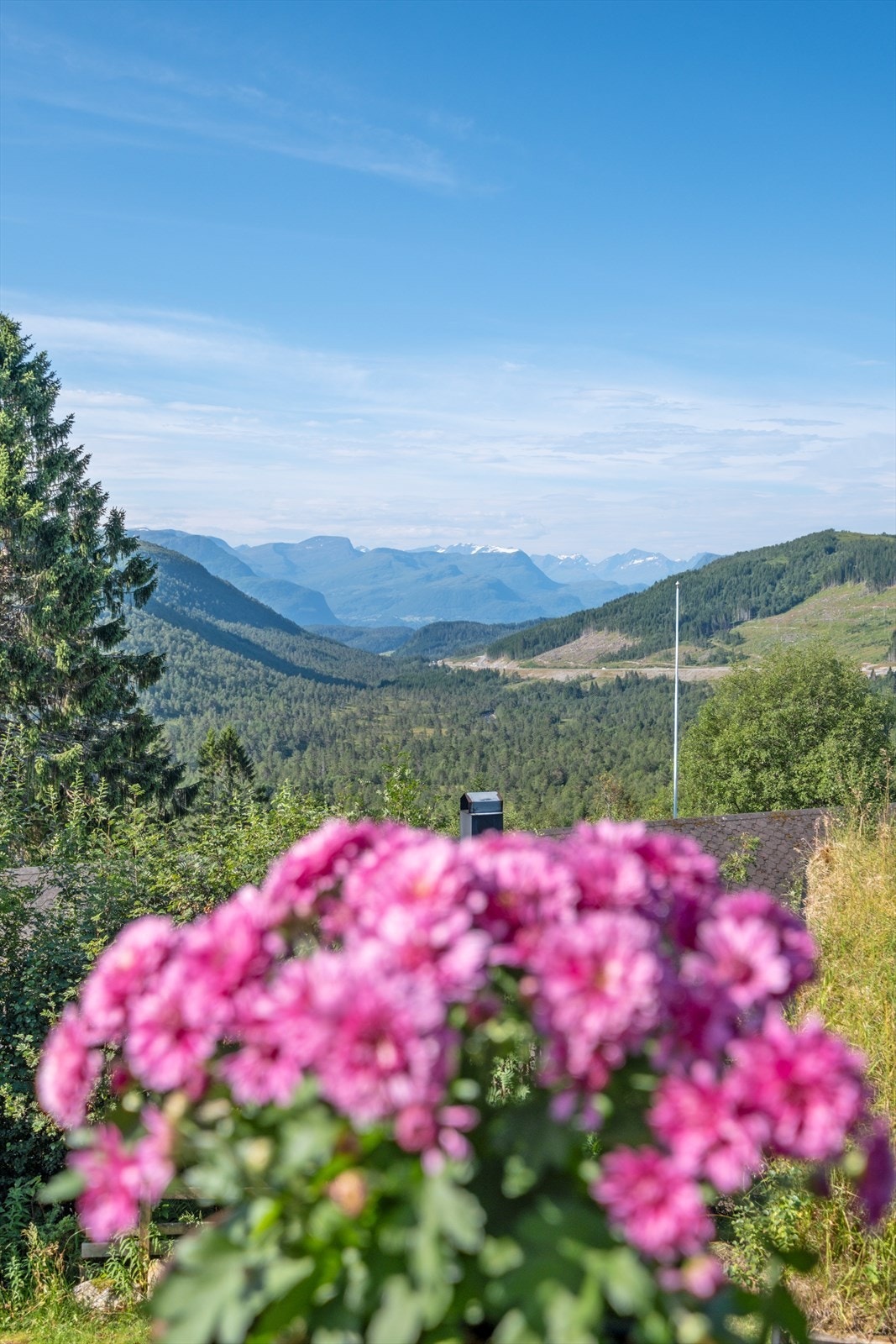 Utsikten fra terrassen Galleribilde