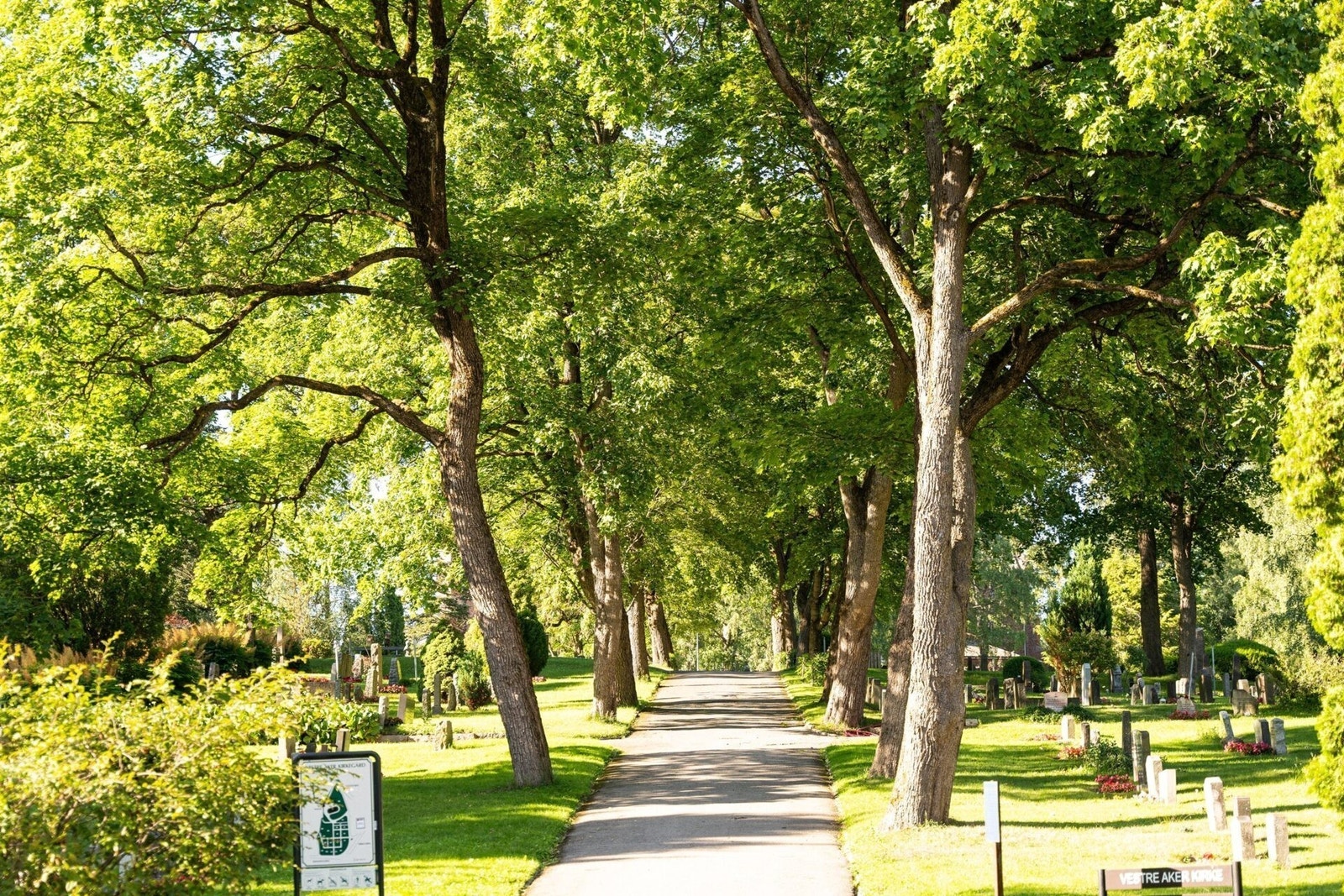 Vestre Aker Kirkegård, perfekt for en søndagstur Galleribilde
