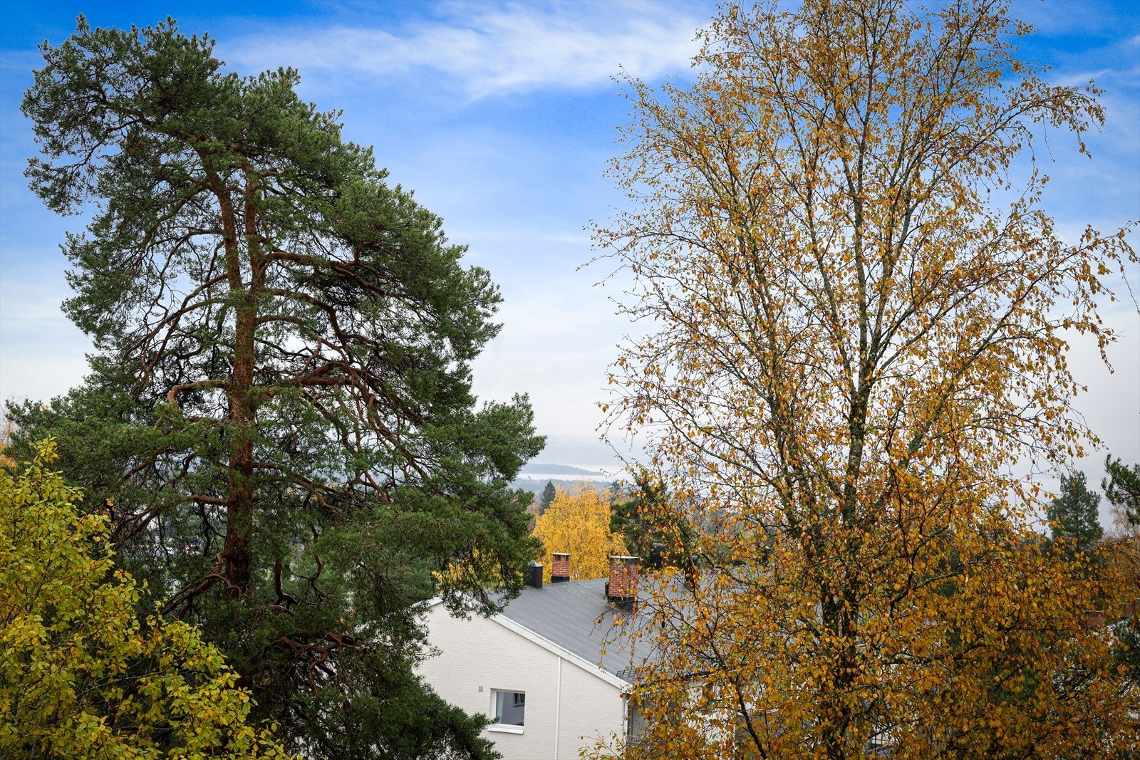 Utsynsbilde Galleribilde