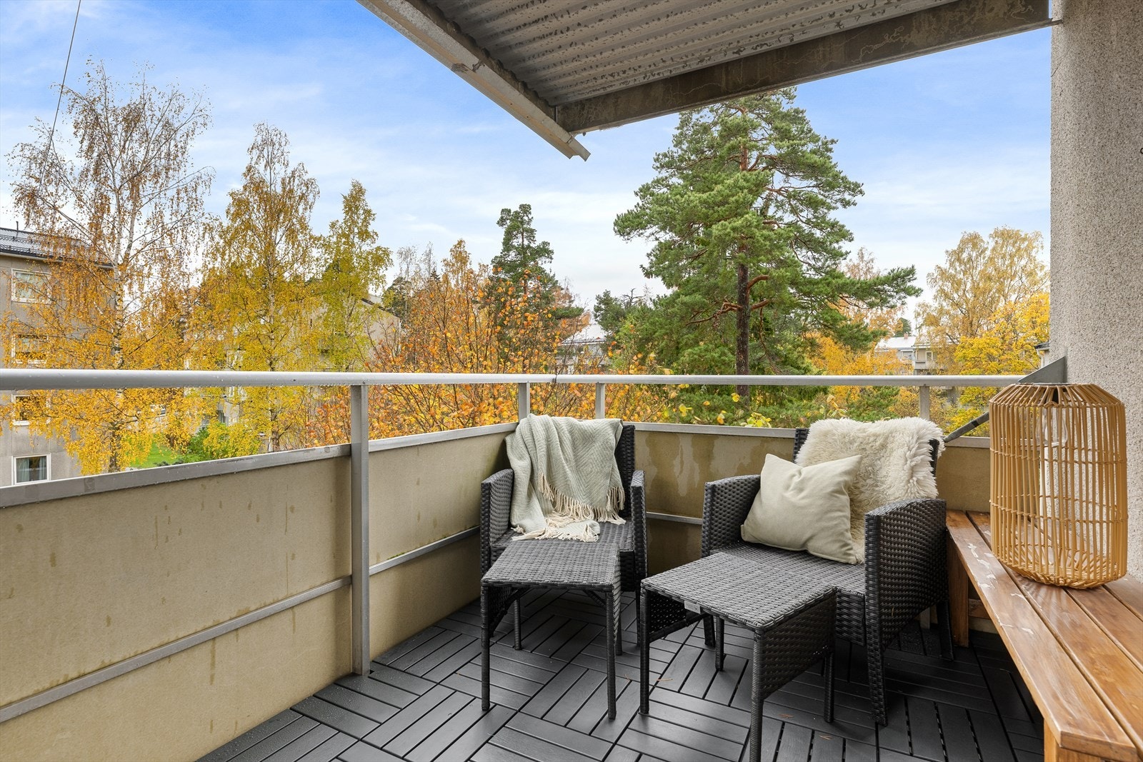 Fururabben ligger usjenert til i grønne omgivelser på Østerås Galleribilde