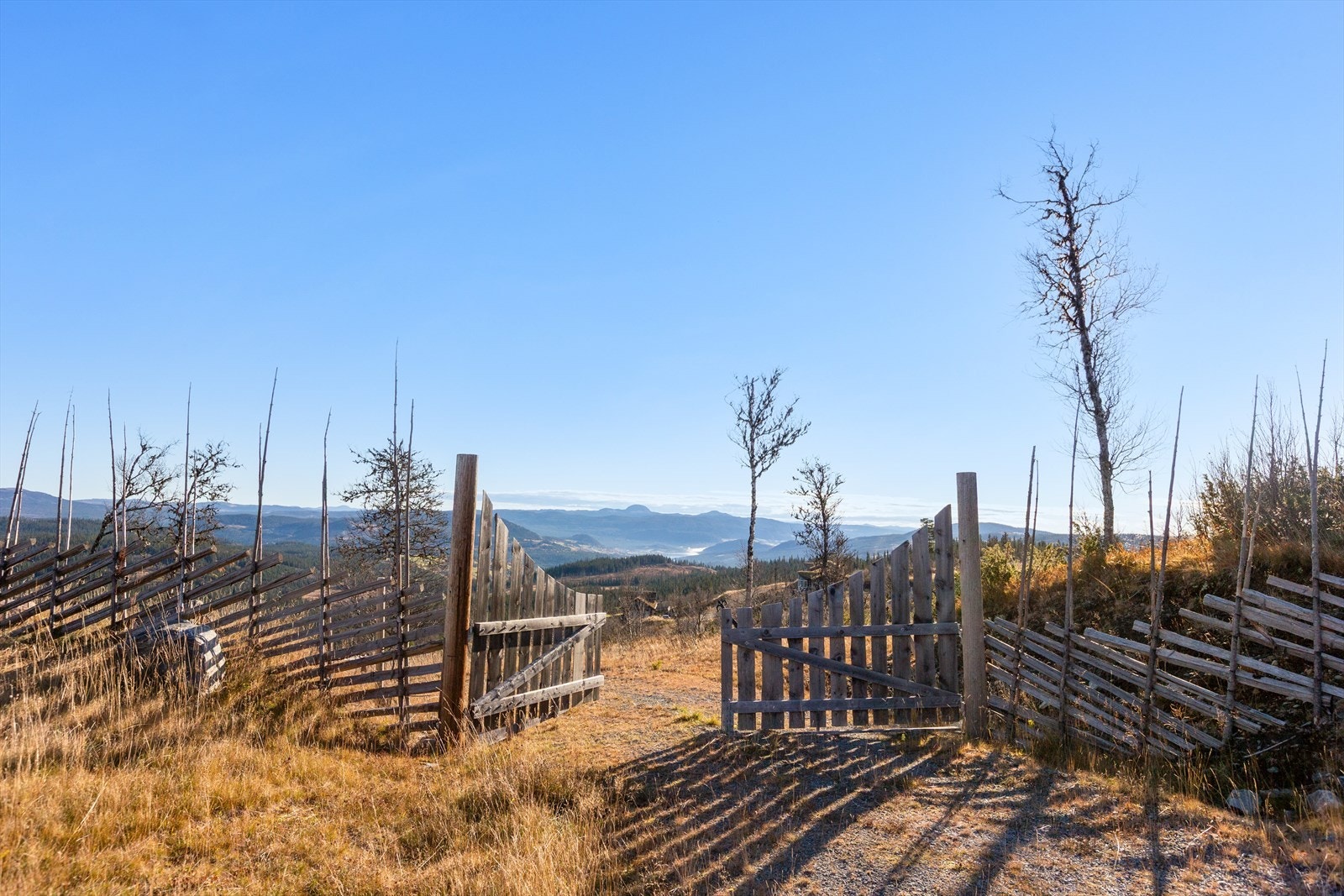 Velkommen! Galleribilde