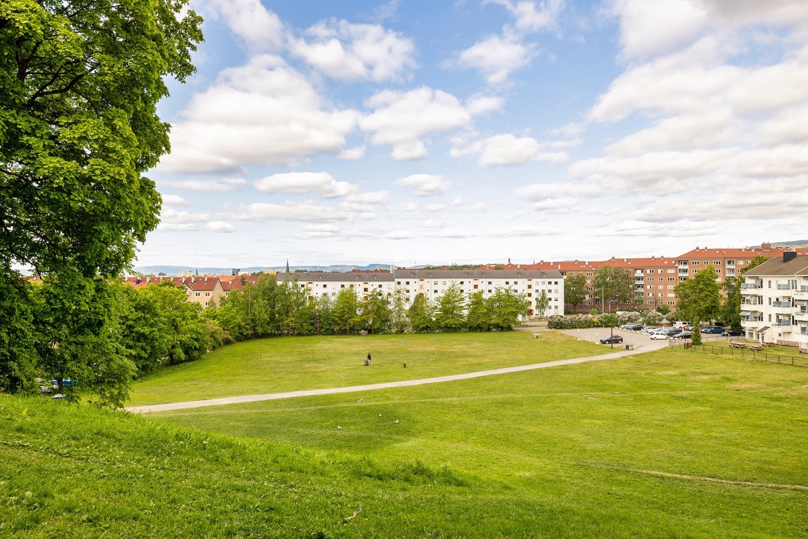 Nærhet til mange hyggelige parker og grøntområder bare få minutters gange fra leiligheten - Blant annet Ola Narr, Tøyenparken, Torshovdalen og Torshovparken Galleribilde