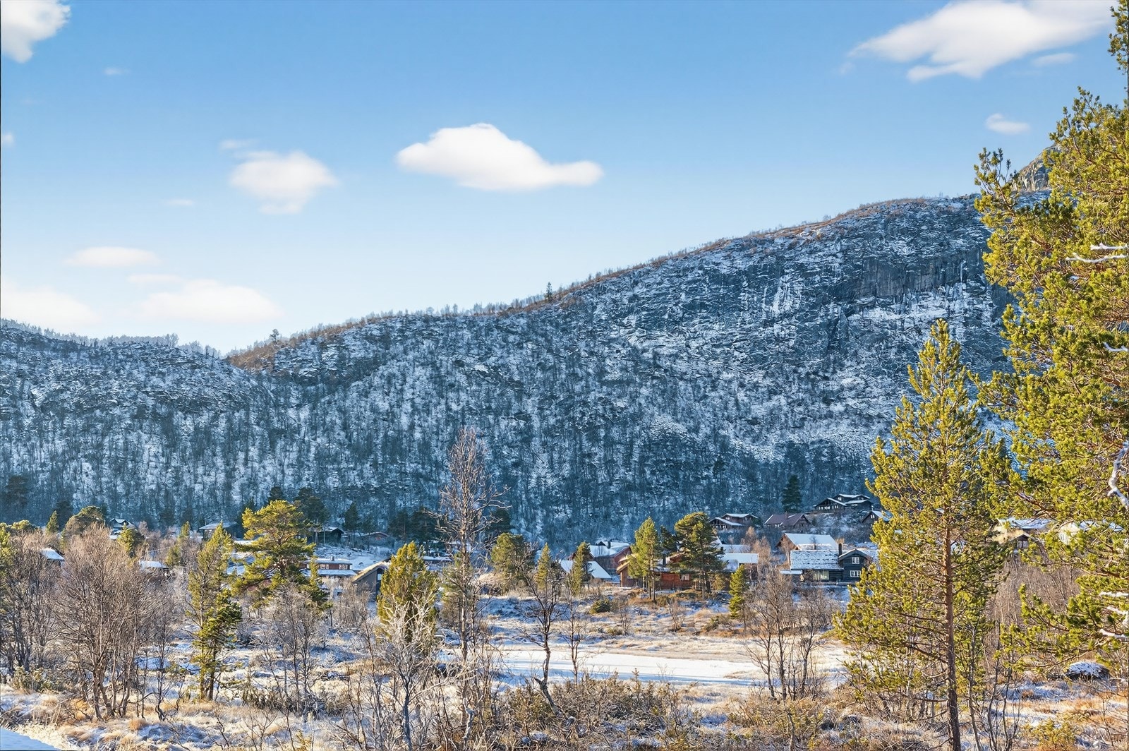 Utsikt mot friområde Galleribilde
