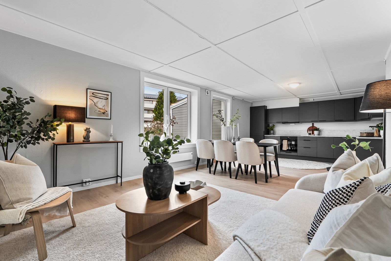 Naturlige soneindelinger Galleribilde