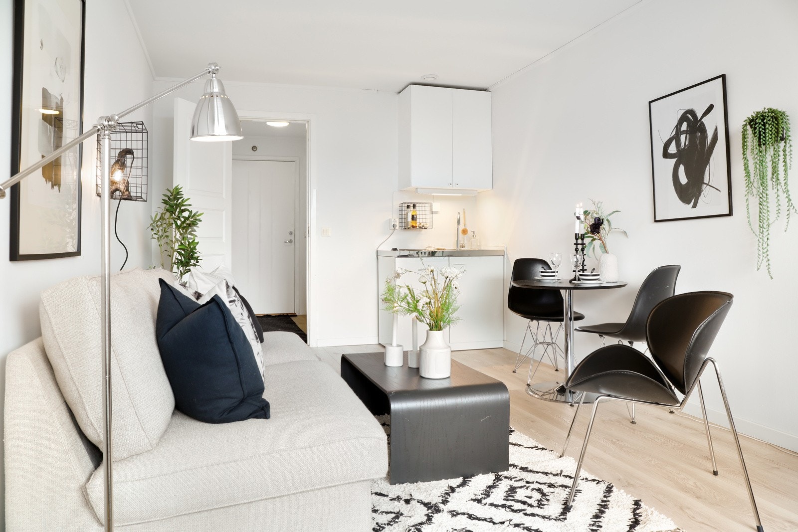 1-roms Selveierleilighet. Galleribilde