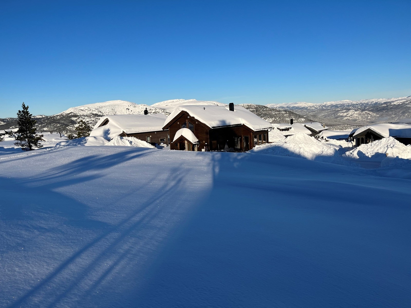 Selgers bilde fra vinter Galleribilde