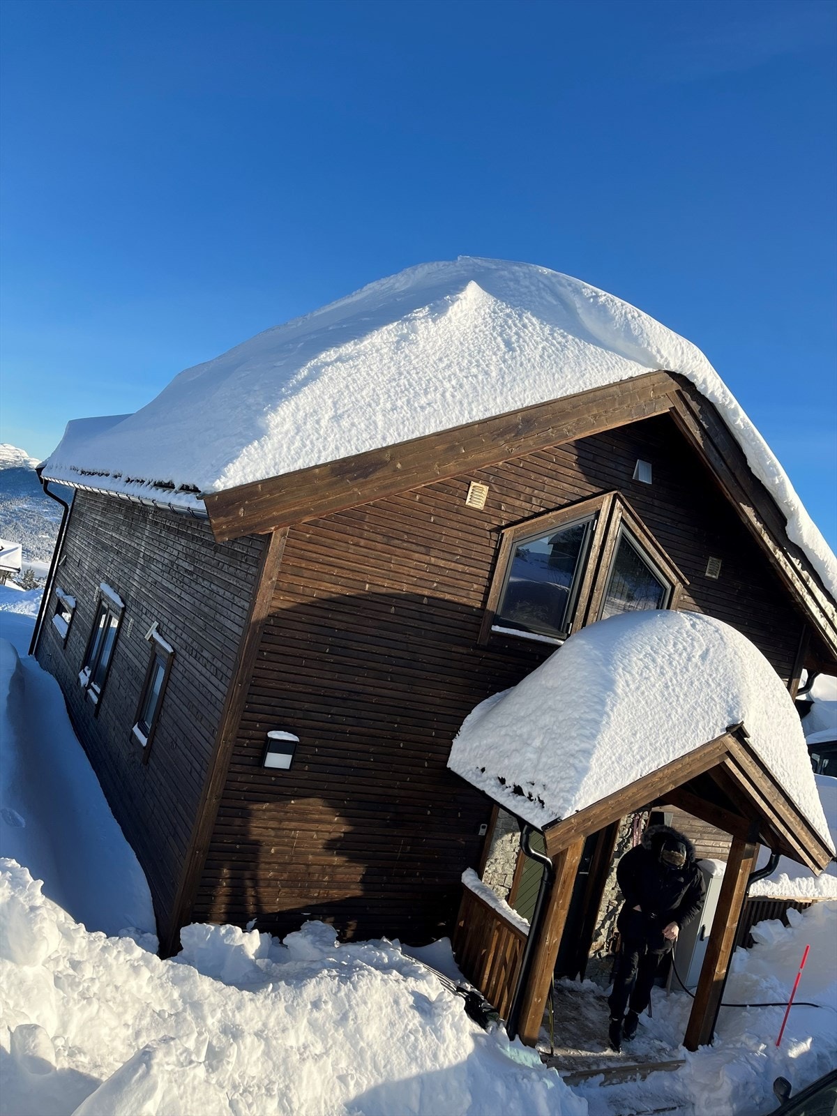 Selgers bilde fra vinter Galleribilde
