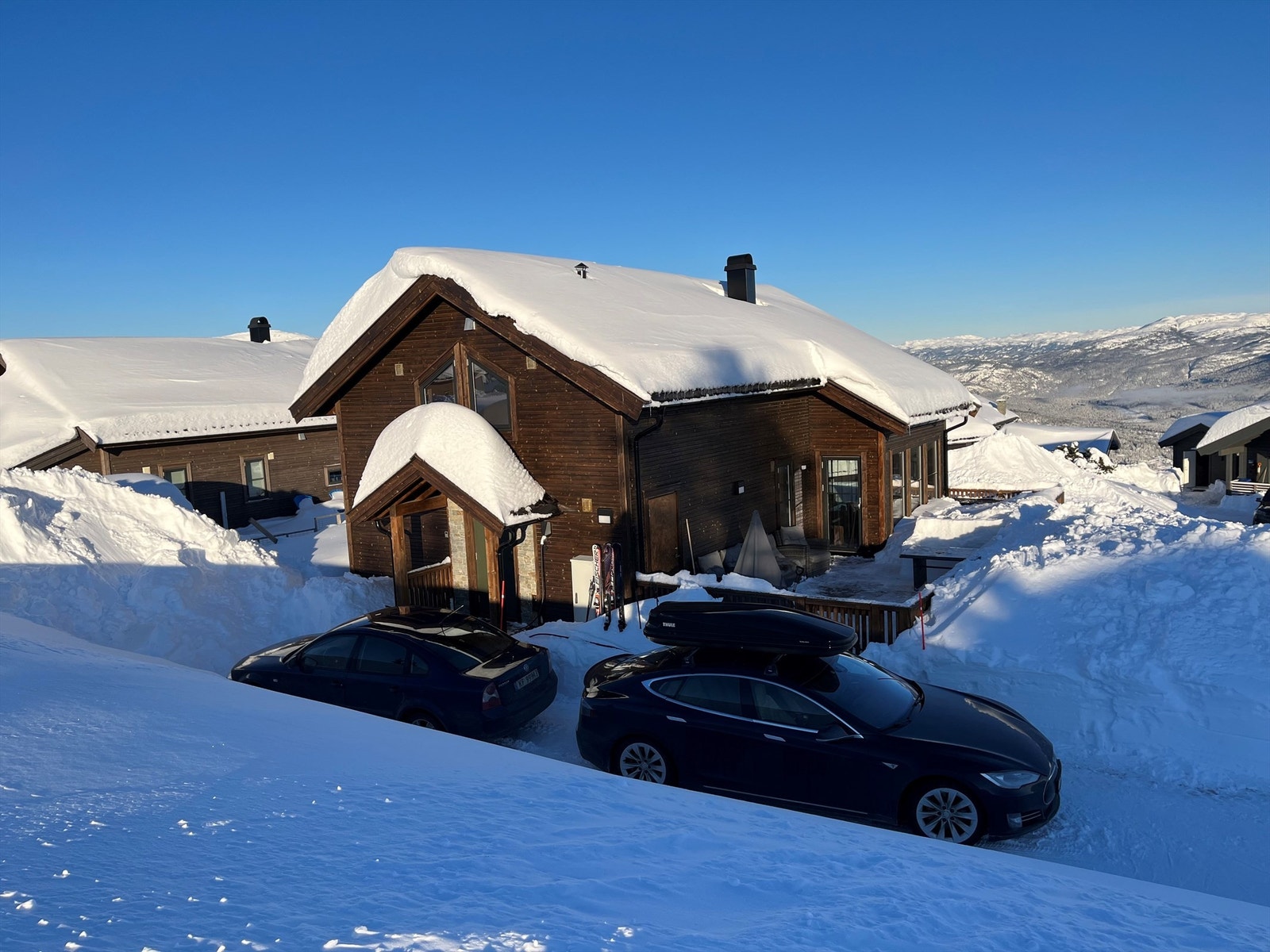 Selgers bilde fra vintersesongen Galleribilde