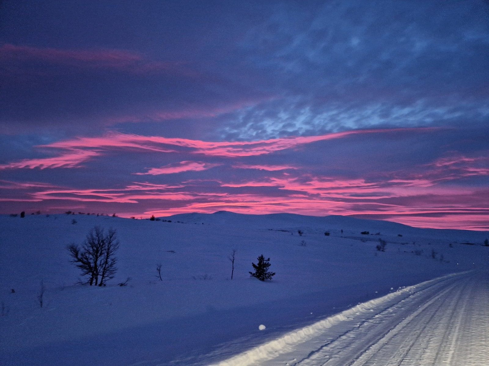 En vakker vinterhimmel. Galleribilde