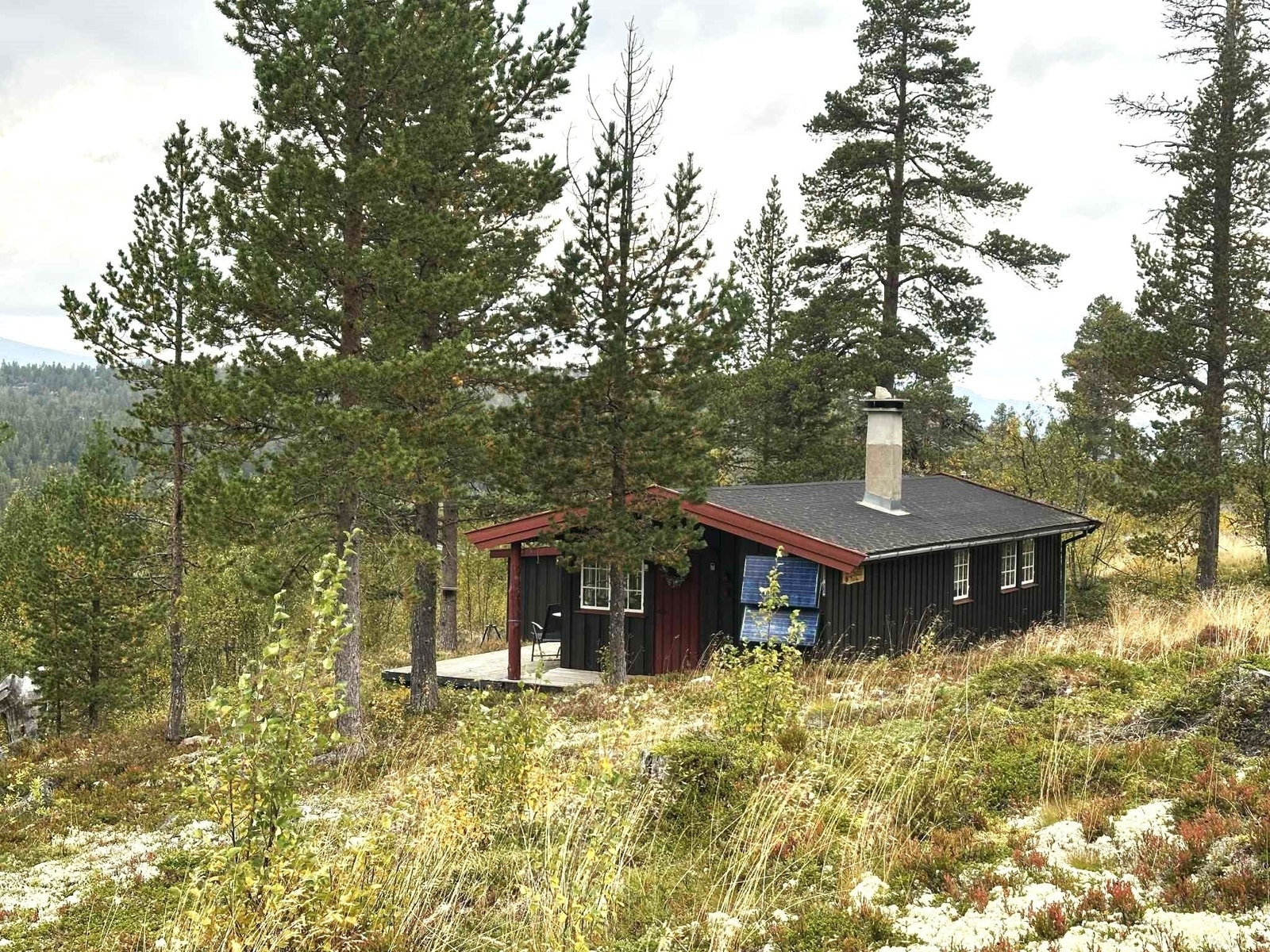 Hytte ligger godt til i terrenget. Galleribilde