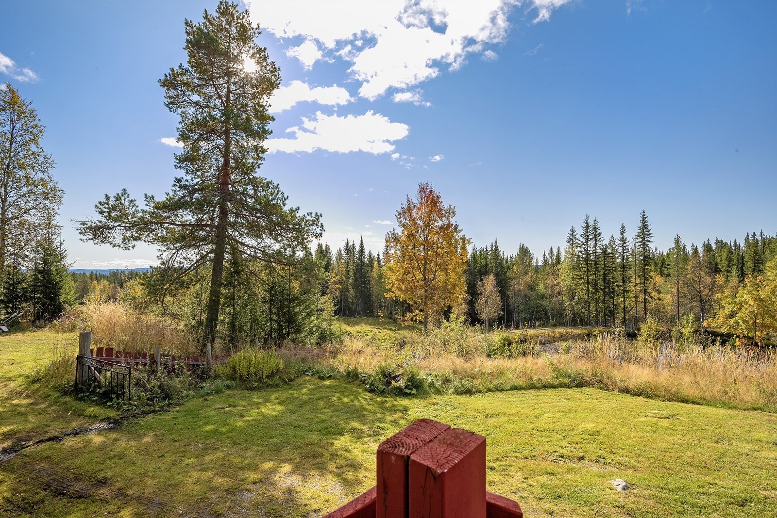 Stille og rolig. Galleribilde