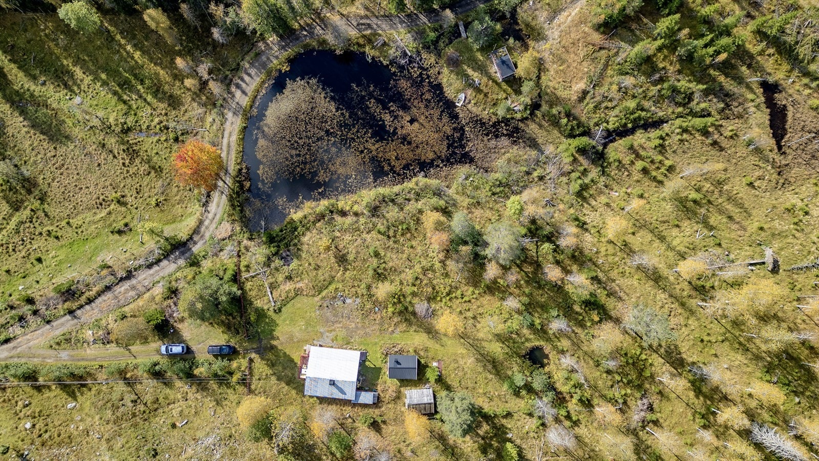 Oversiktsbilde. Galleribilde