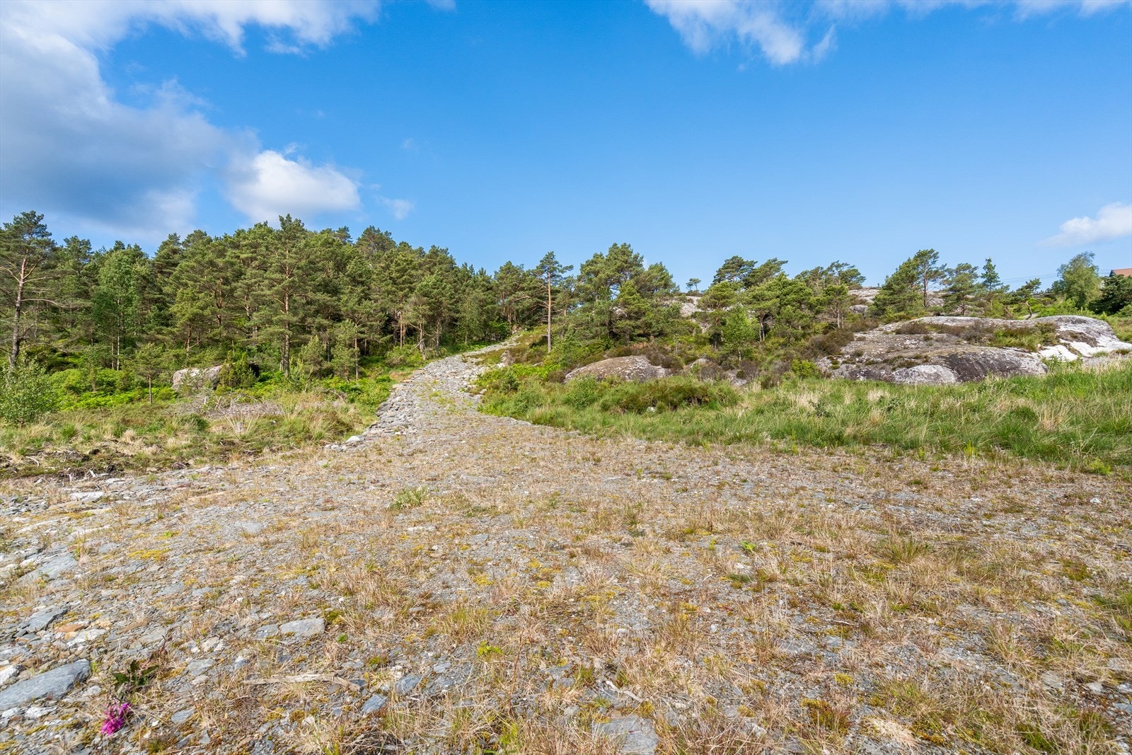 Det er fremlagt tilknytningspunkt for vann, fiber og strøm i starten av området. Galleribilde
