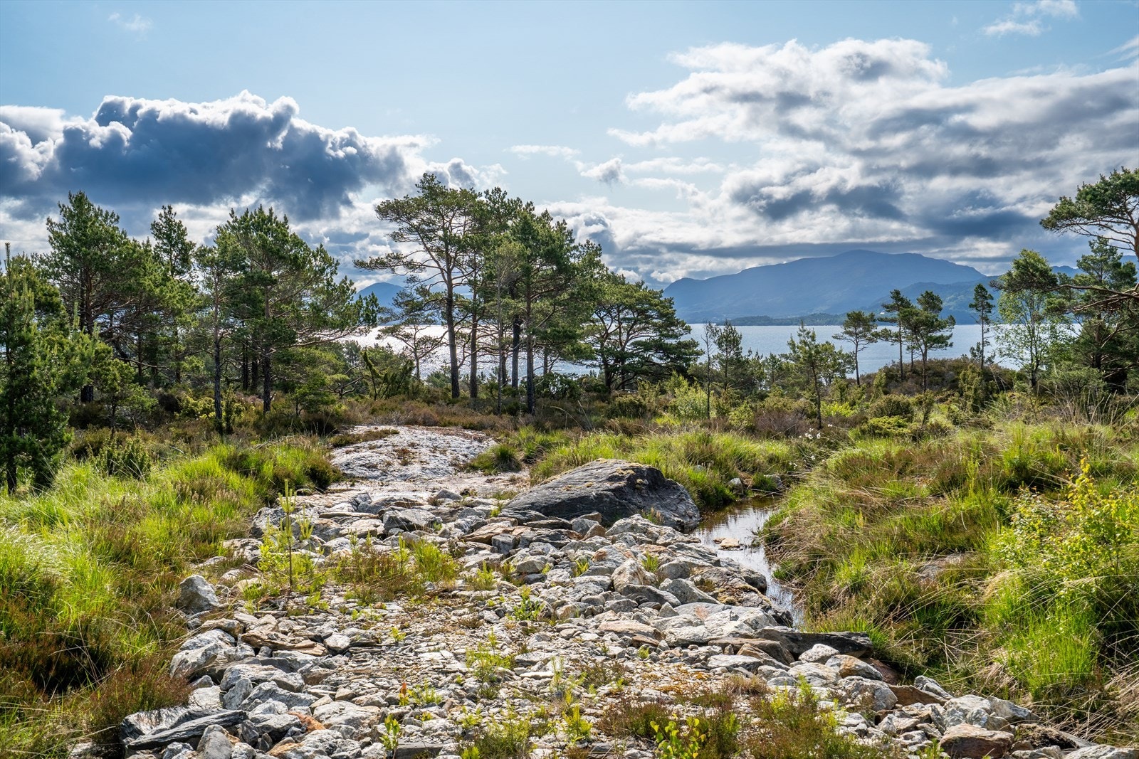 Kun 30 minutter fra Haugesund og ca. 1 time fra Bergen Galleribilde