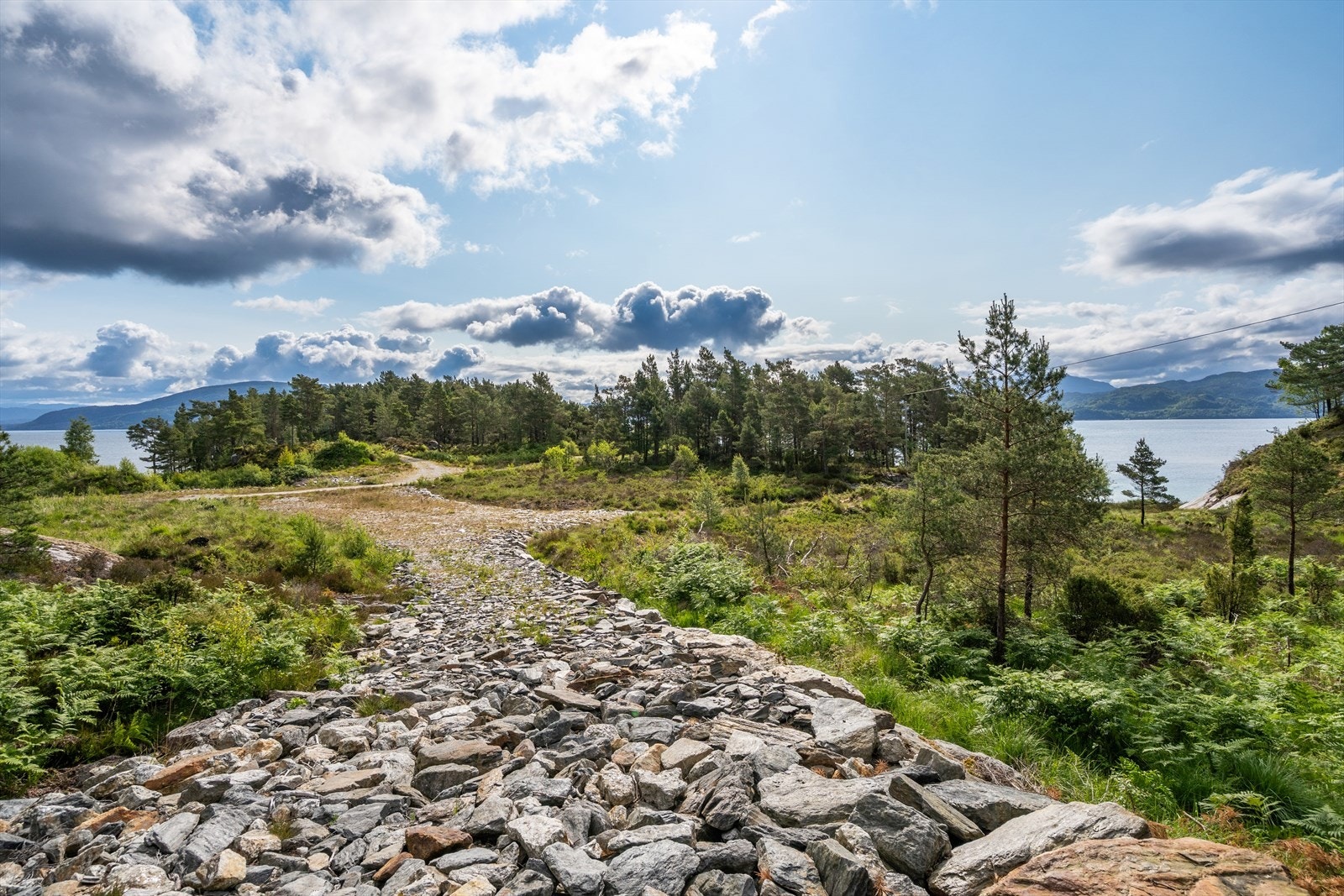 Veier er allerede grovplanerte slik at det er lett fremkommelig i feltet, og klart for videre utvikling. Galleribilde