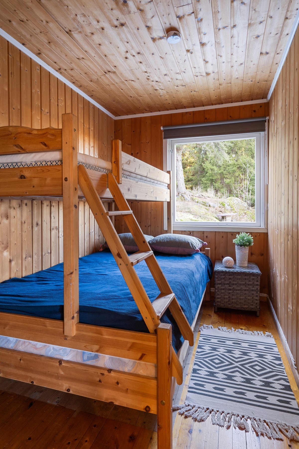 soverom med familiekøye Galleribilde