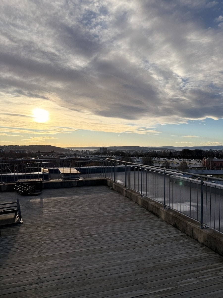 Takterasse Galleribilde