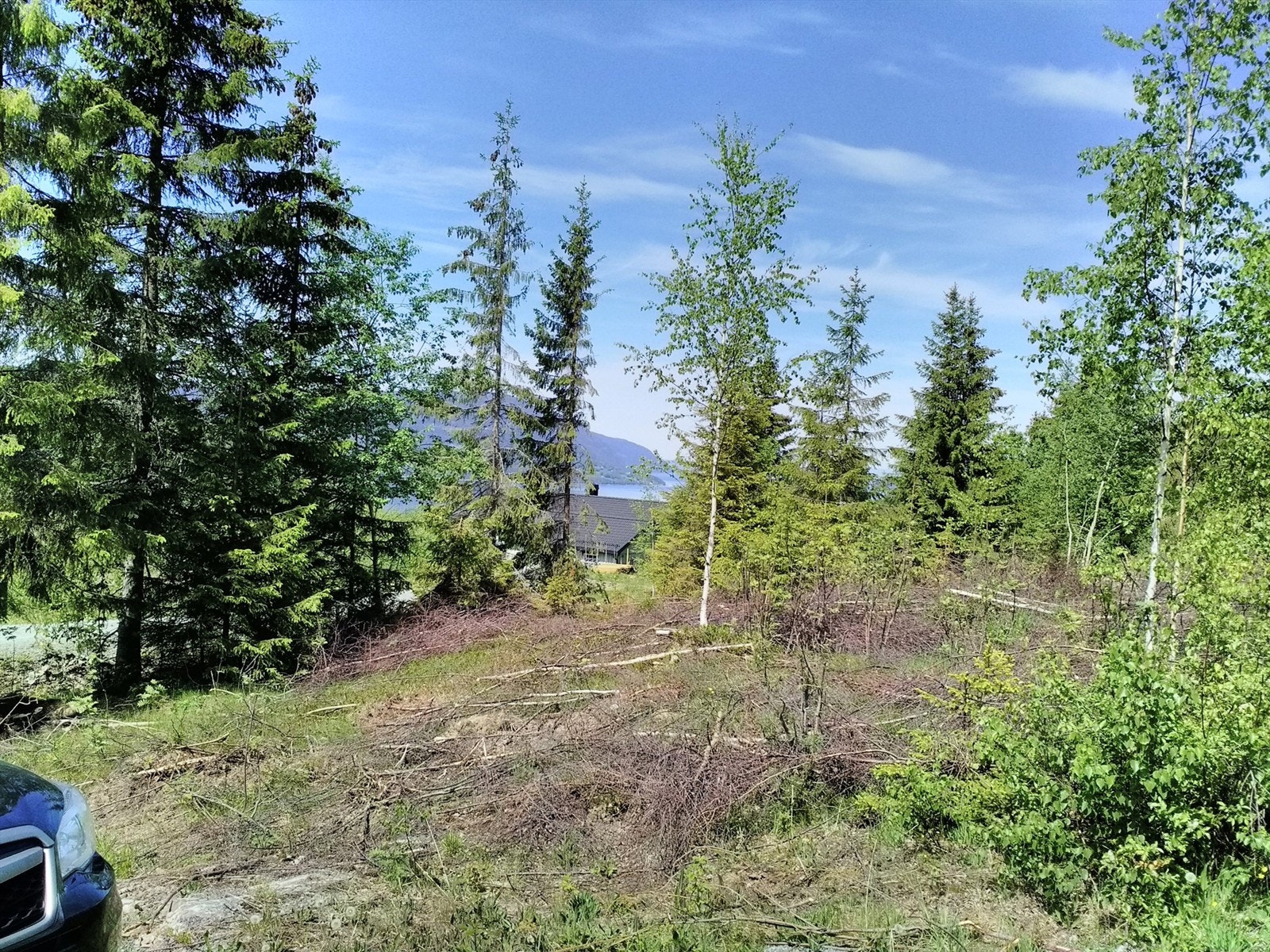 IMG_20200602_130232.jpg Galleribilde