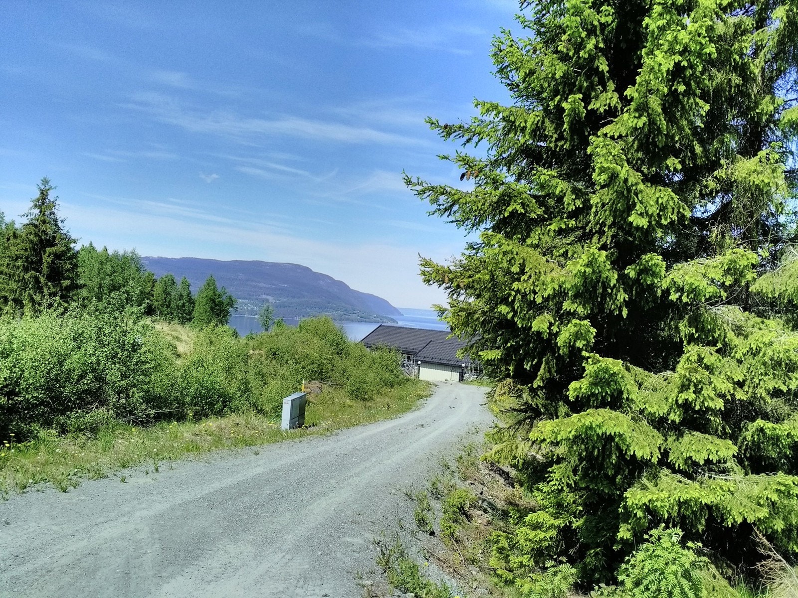 IMG_20200602_130142.jpg Galleribilde