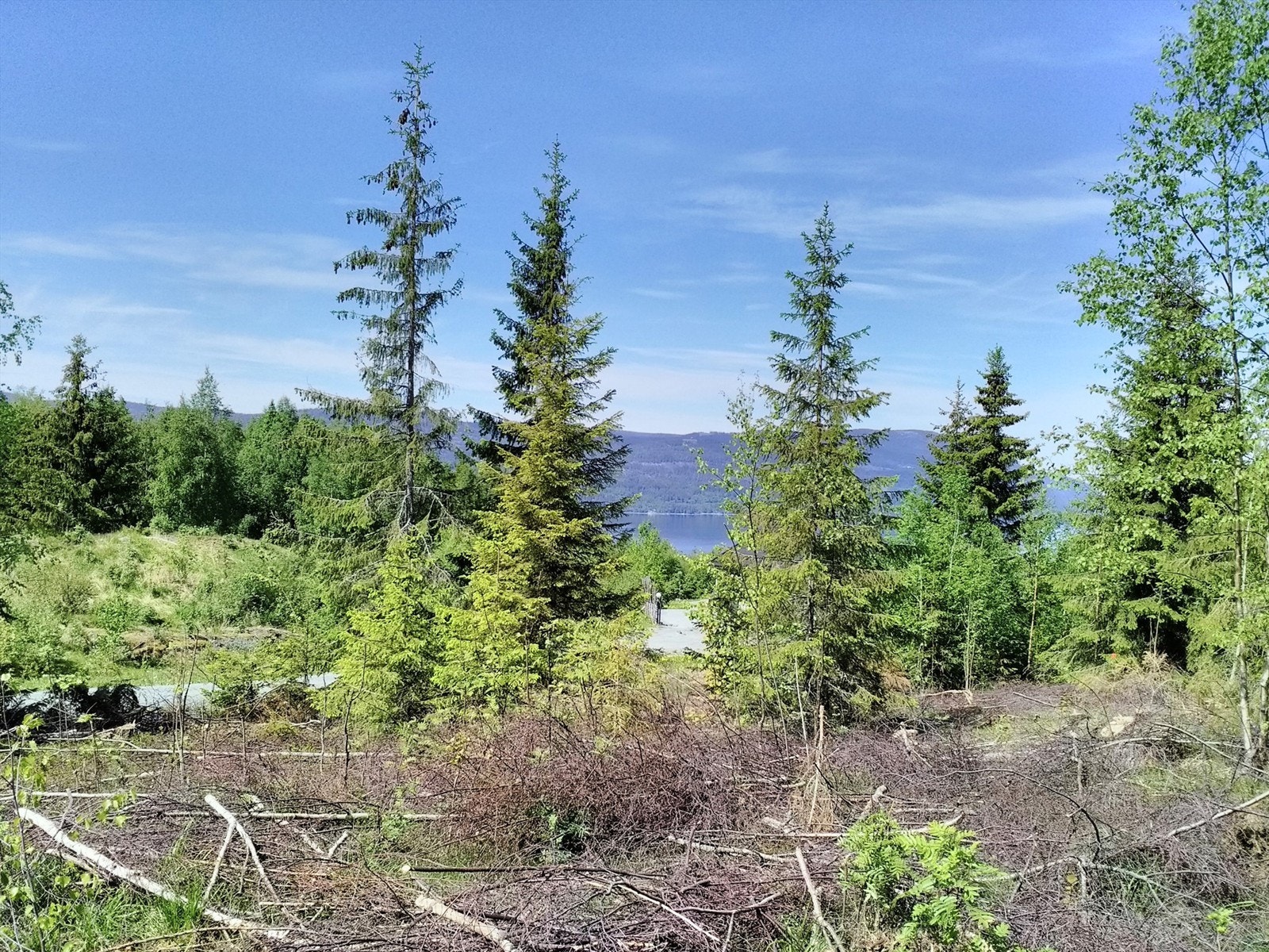 IMG_20200602_130329.jpg Galleribilde