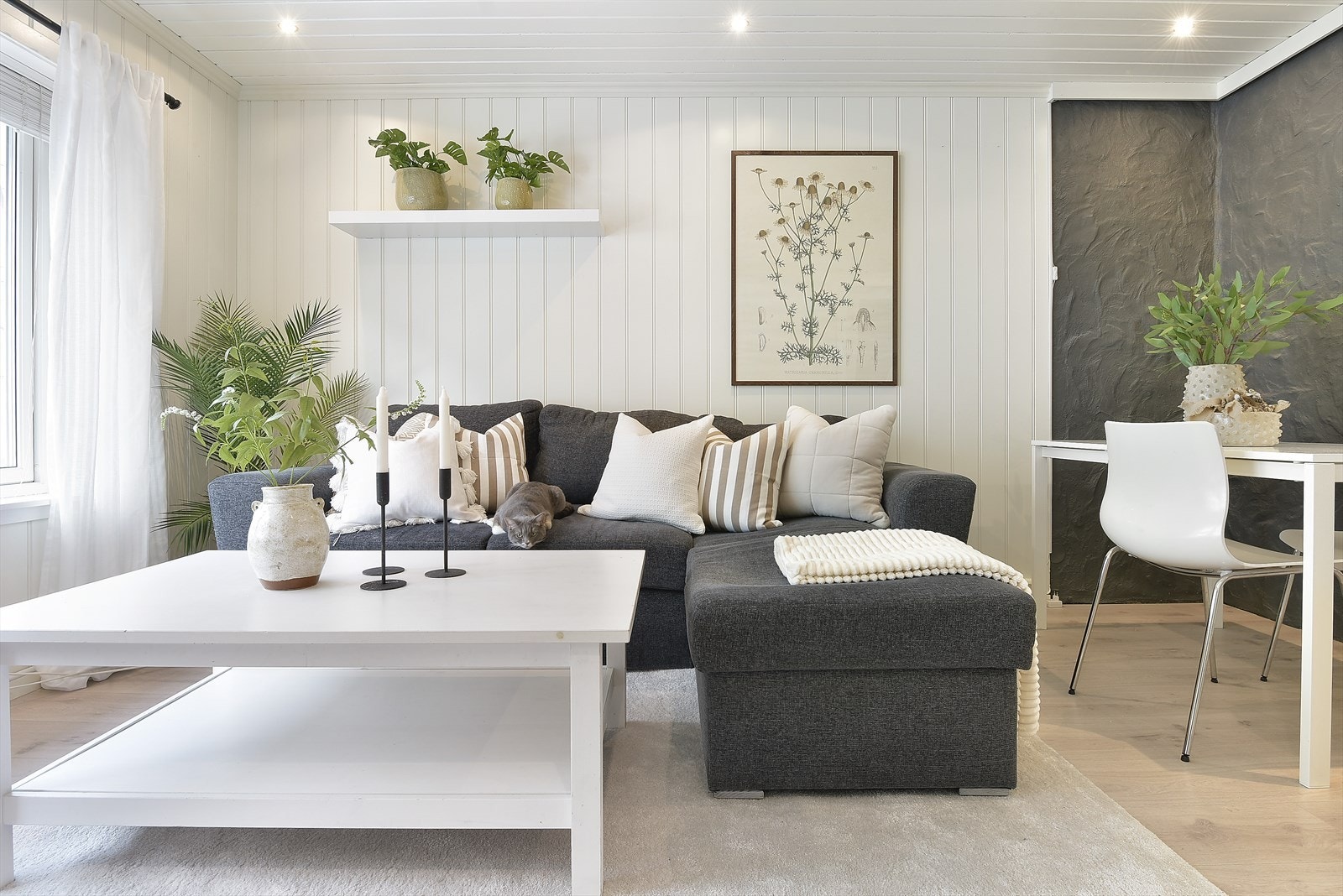 God plass til stuemøblement. Galleribilde