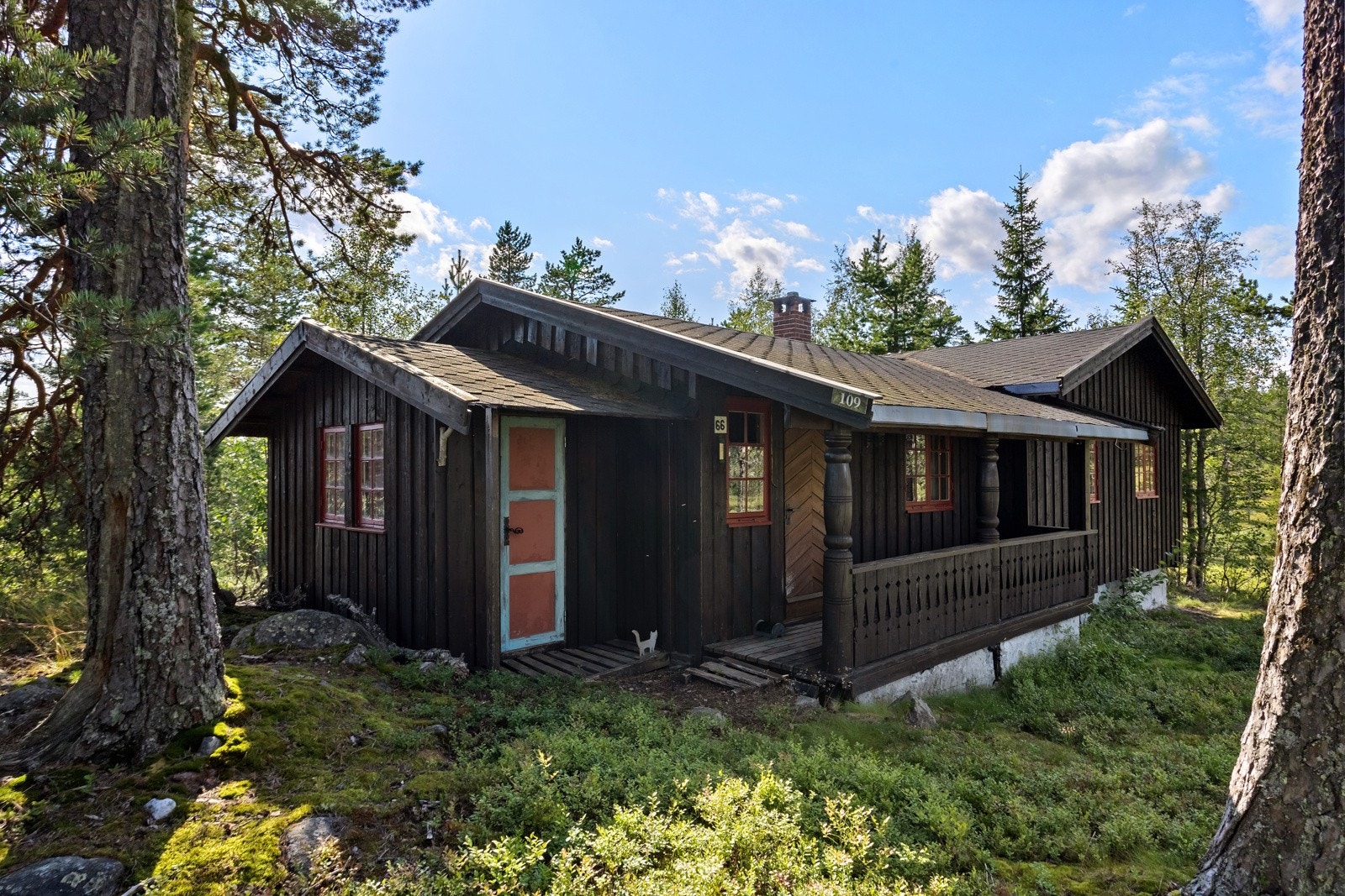 Velkommen til naturskjønne Ølløkmyra 66! Galleribilde