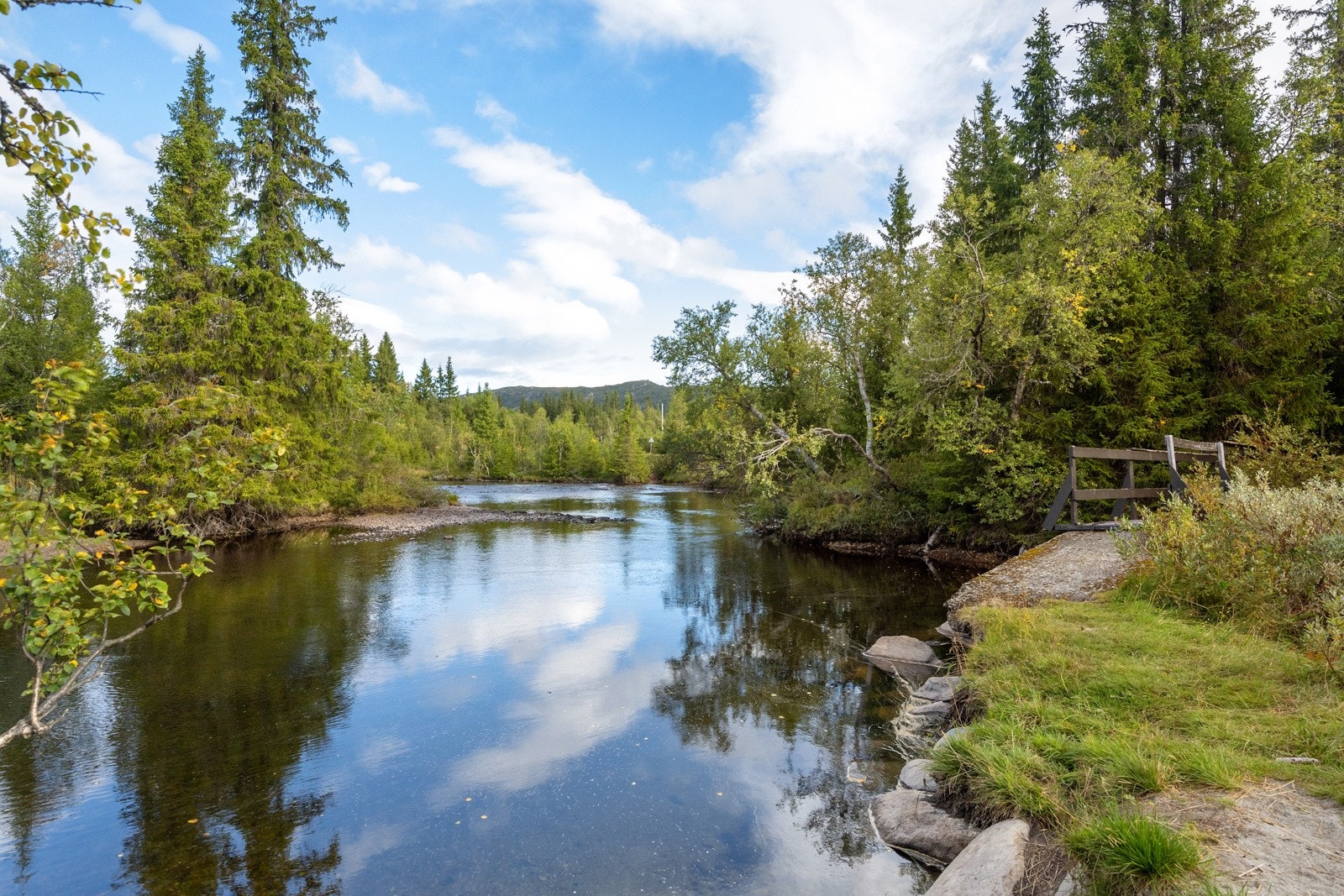 Elva Synna på andre siden av veien med bademuligheter og fisking Galleribilde