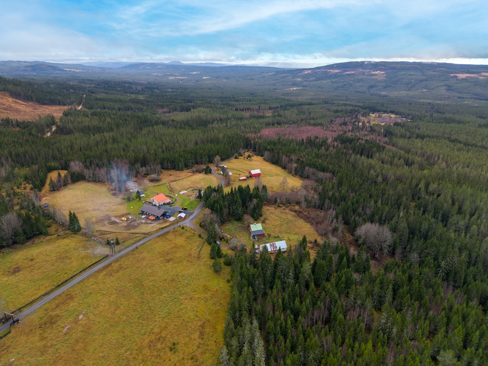 Velkommen til visning! Galleribilde