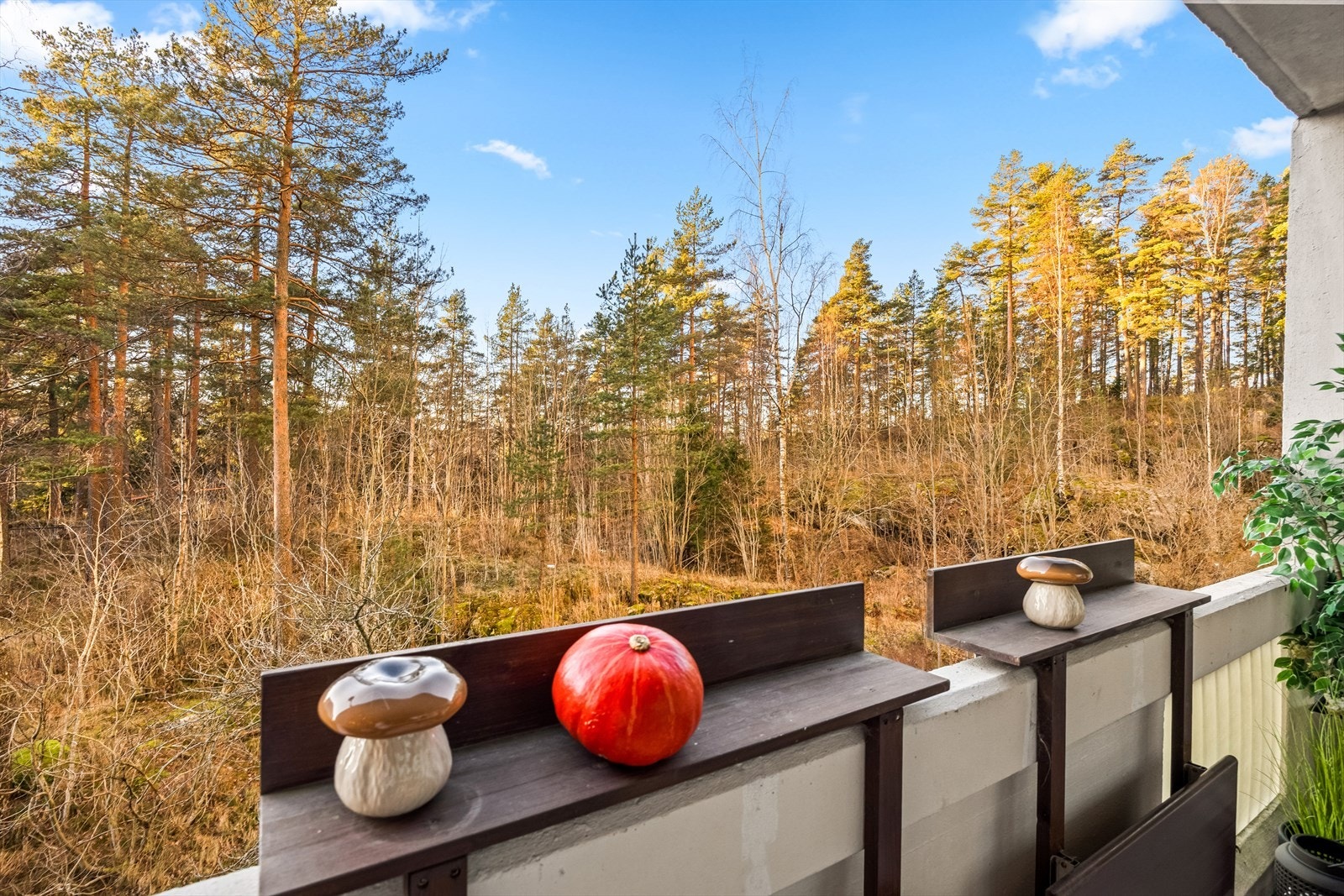 Balkongen er usjenert, vender mot skogholt og har gode solforhold. Galleribilde
