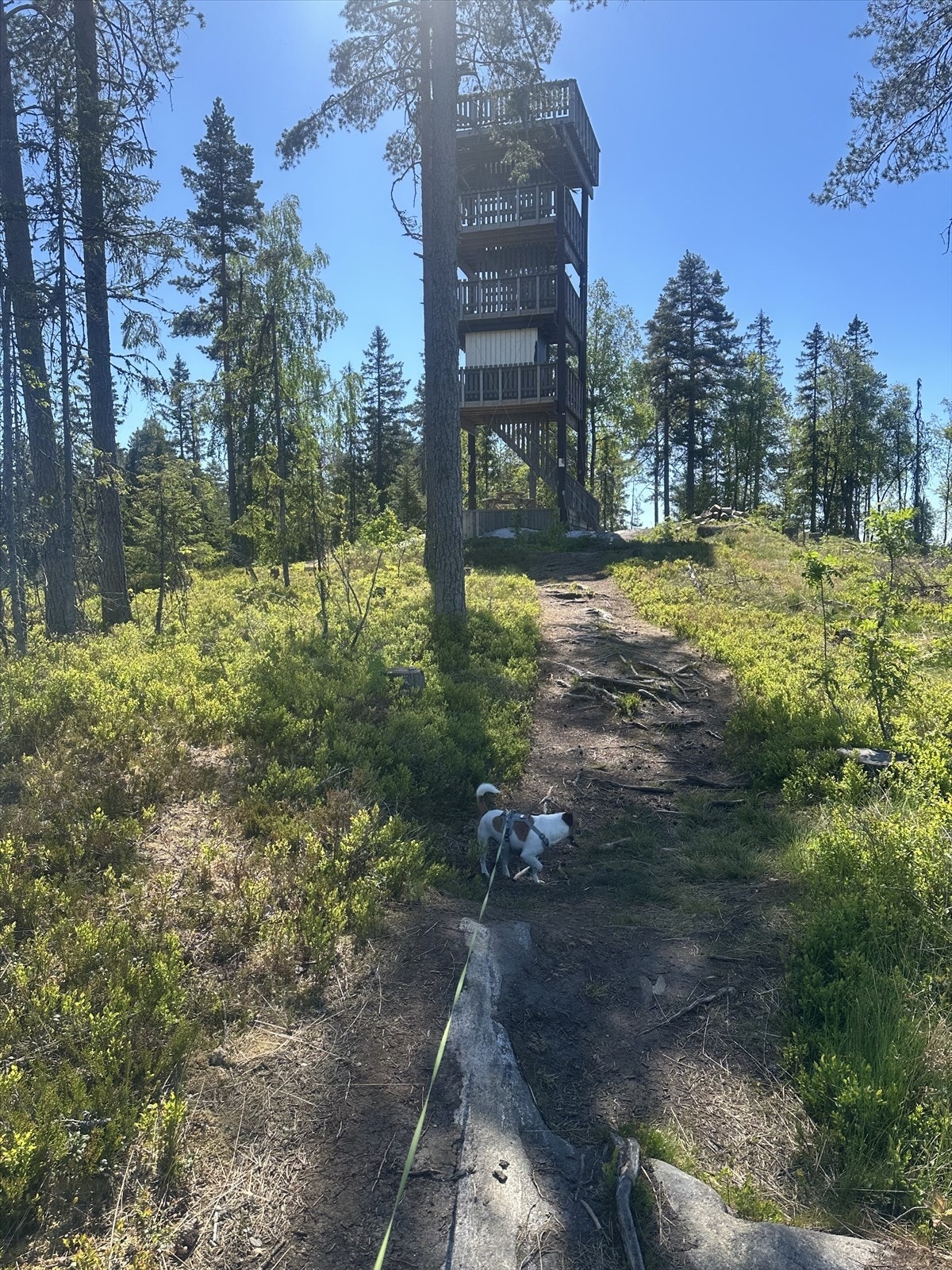 Umiddelbar nærhet til skog og mark, med flotte turstier rett utenfor døren - blant annet til Varmestua, hvor utsikt, natur og dyreliv kan nytes året rundt. (Selgers bilde) Galleribilde